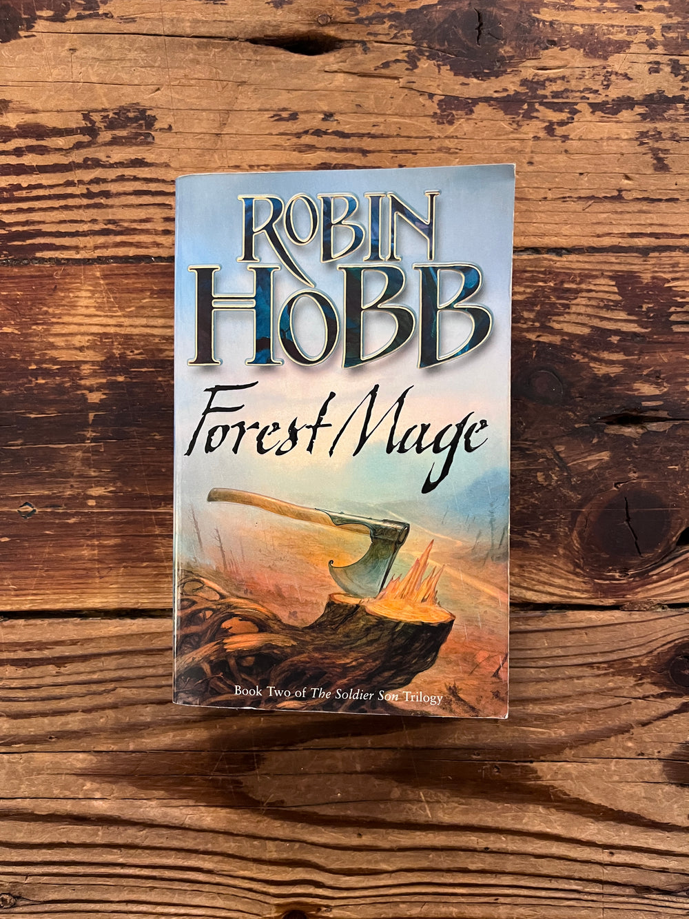 Forest Mage by Robin Hobb