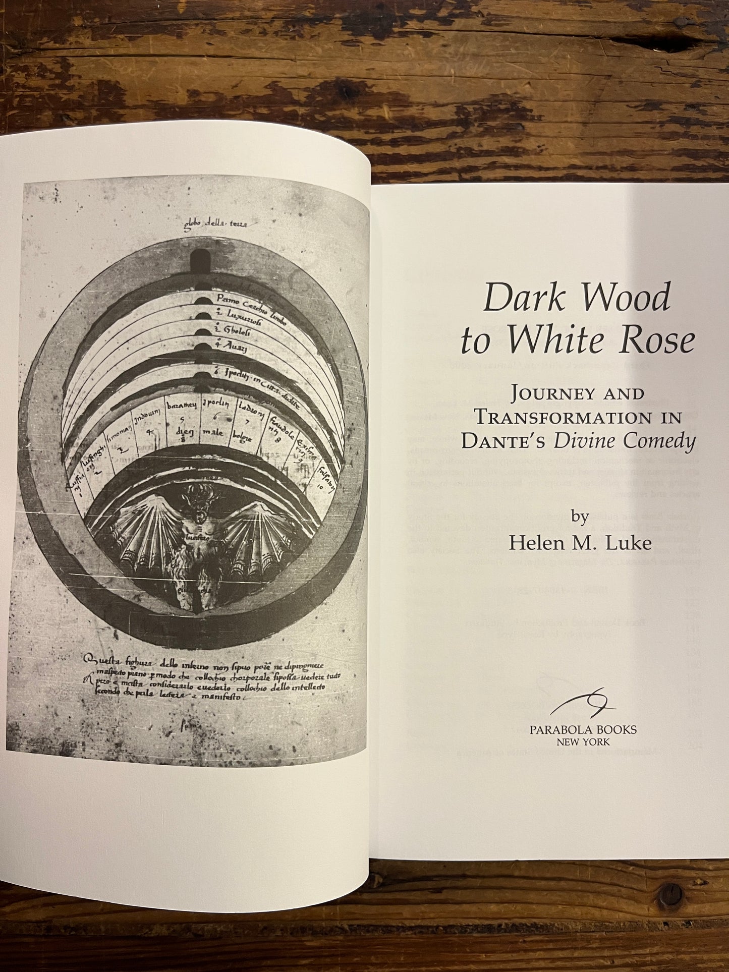 Dark Wood to White Rose, journey and transformation in Dante’s Divine Comedy