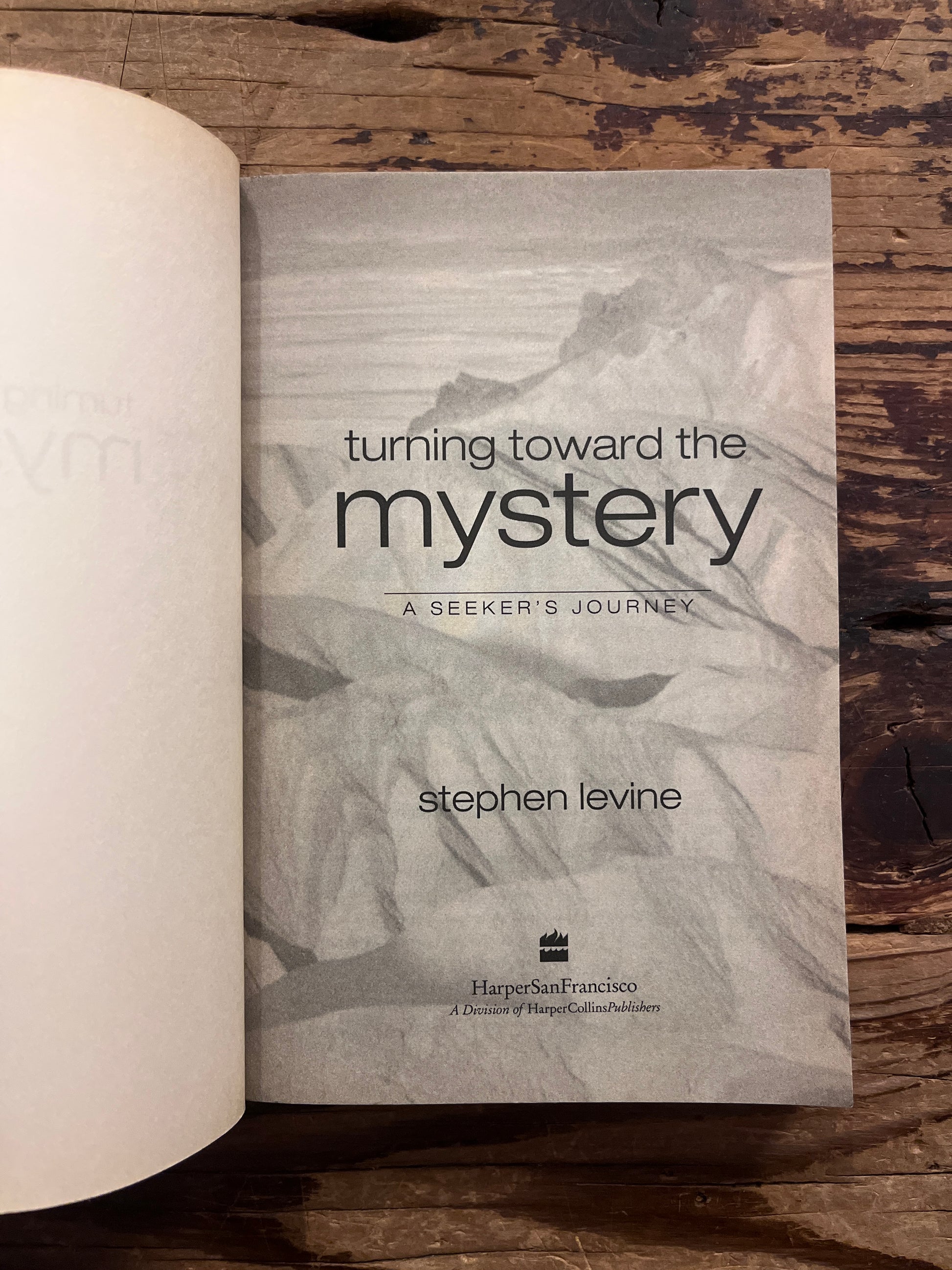 Book titled 'Turning Toward the Mystery' by Stephen Levine on a wooden surface