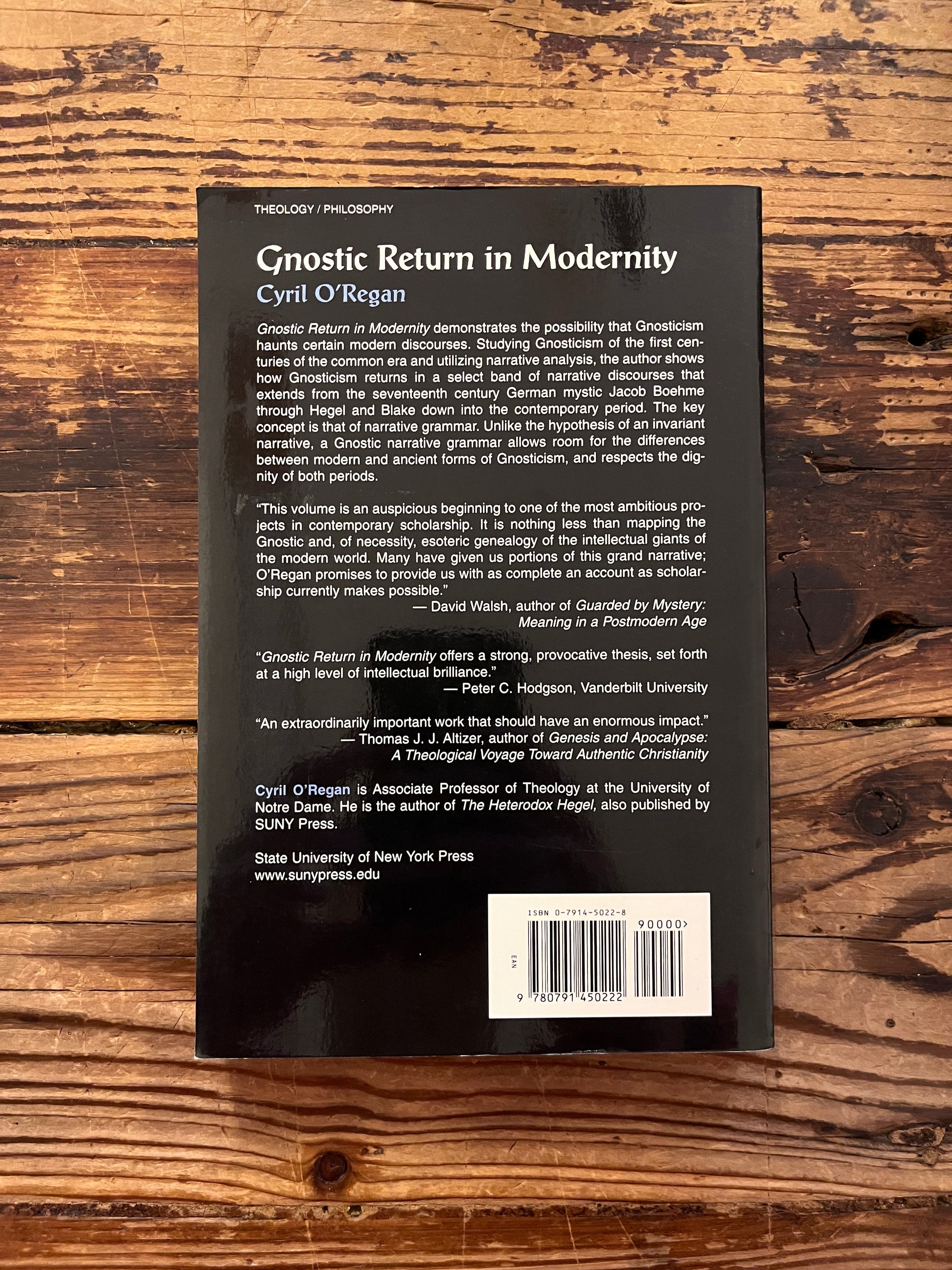 photo of the backcover of the book "gnostic return in modernity" on wooden background