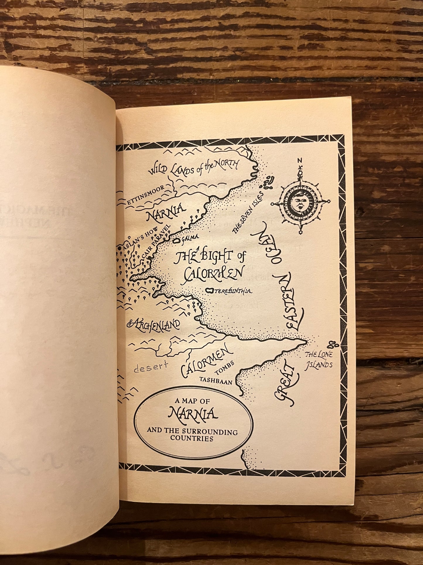 The Magician’s Nephew by C.S. Lewis