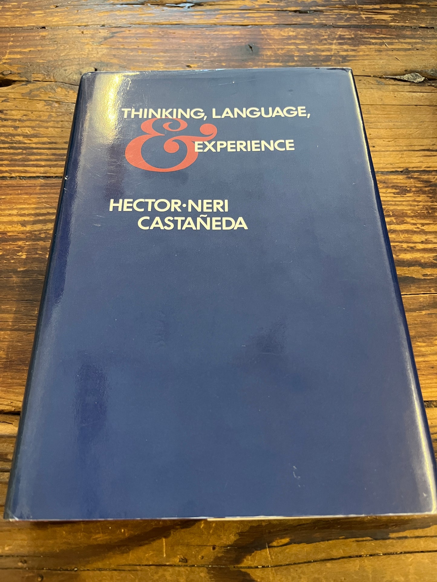 Thinking, language & experience, Hector Neri Castaneda