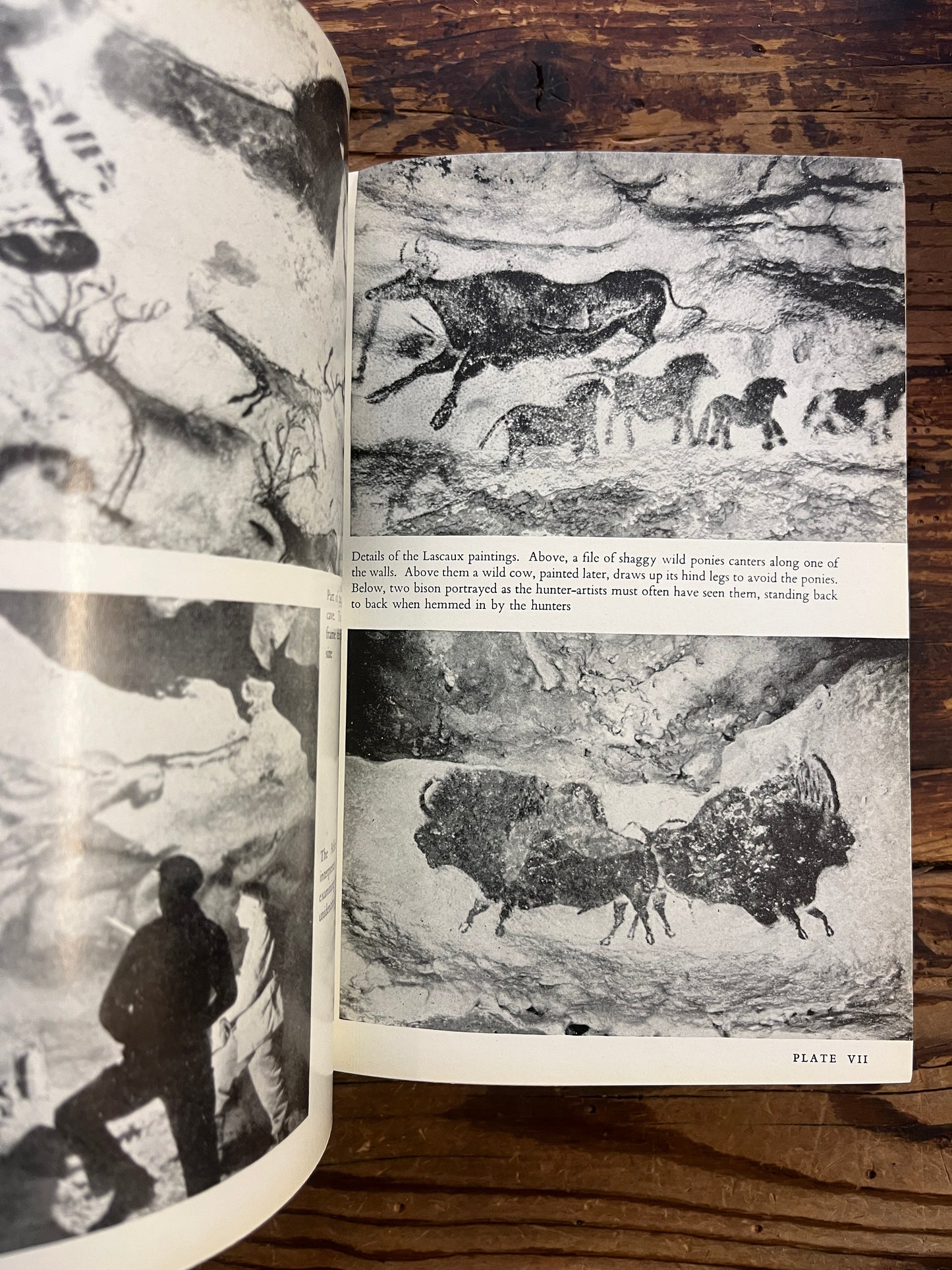 The testimony of spade, Geoffrey Bibby