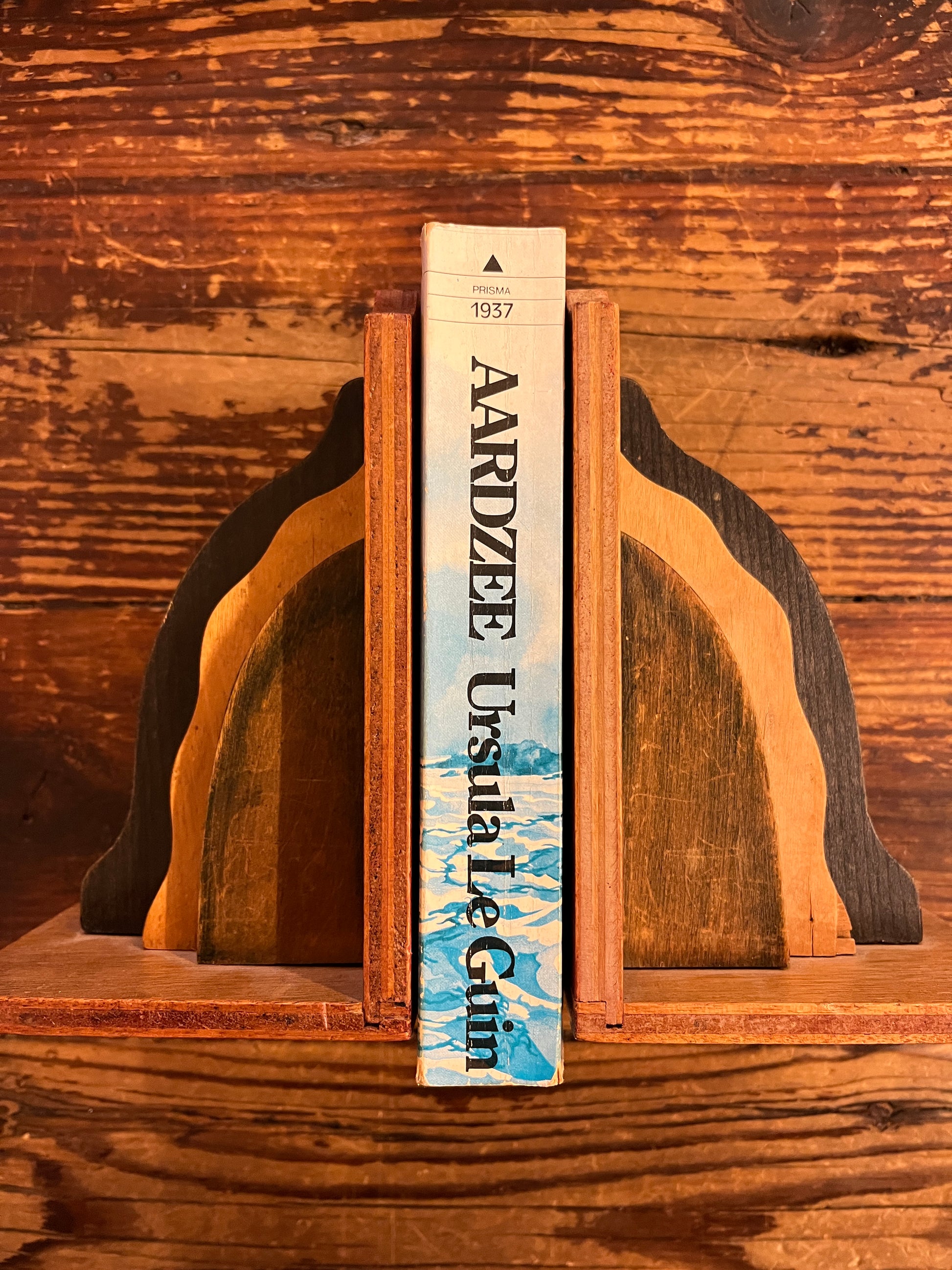 Rug van boek met de titel 'Aardzee' door Ursula K Le Guin op een houten achtergrond 