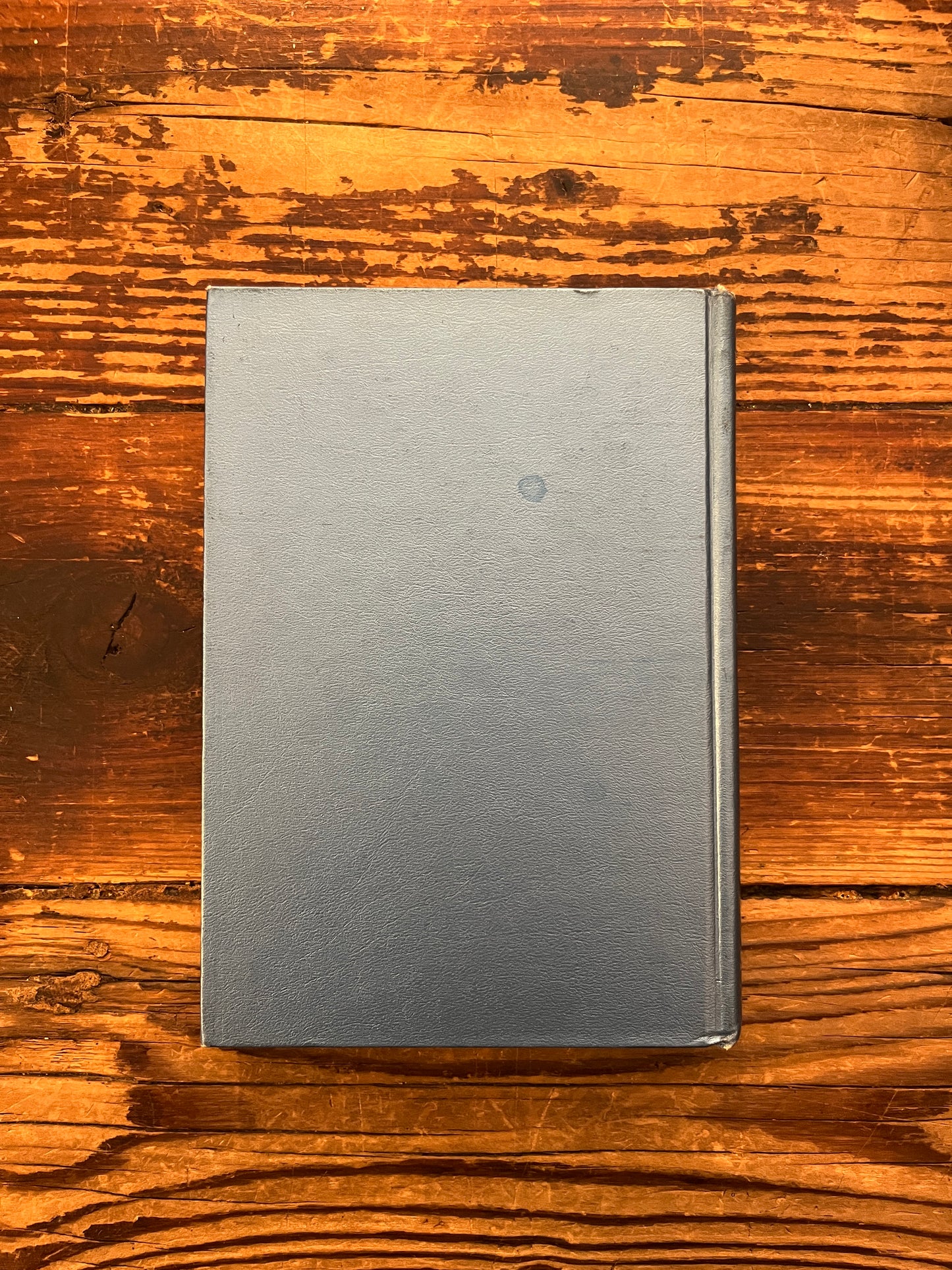 Back cover book titled 'Rubies in the Sand' by Herbert M. Shelton on a wooden surface