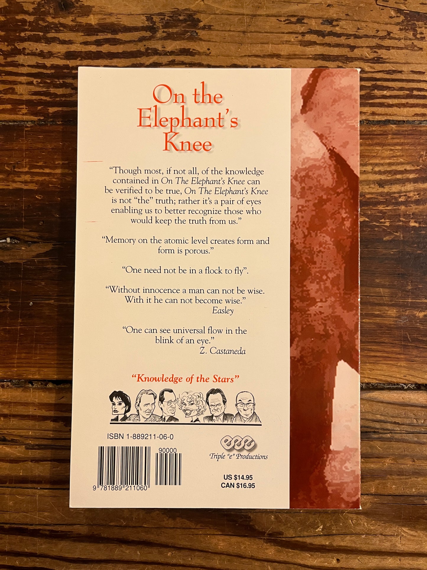 Back cover of book titled 'On the Elephant's Knee' on a wooden surface