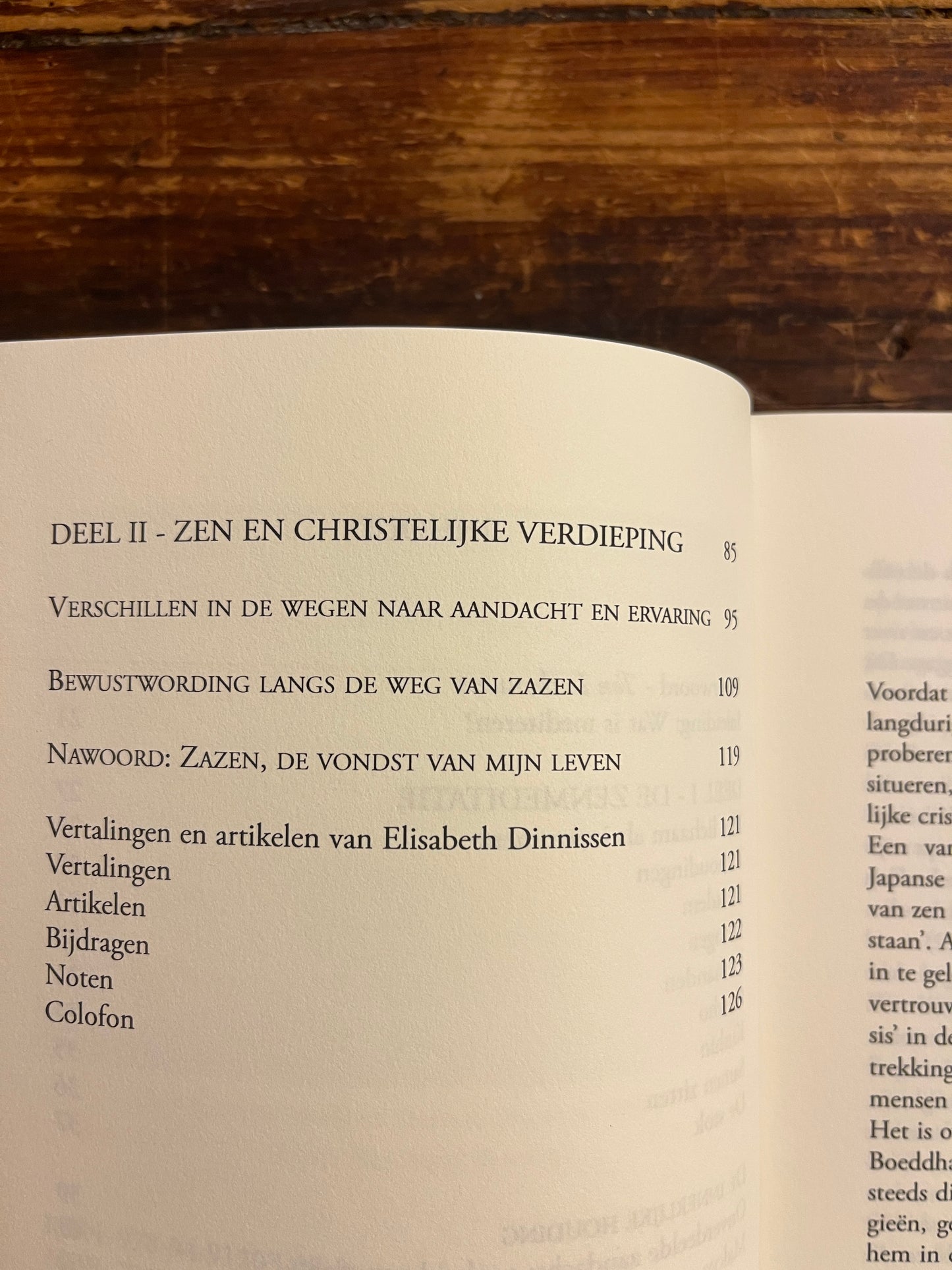Wegen naar helende aandacht, Zazen en beschouwing, Elisabeth Dinnissen