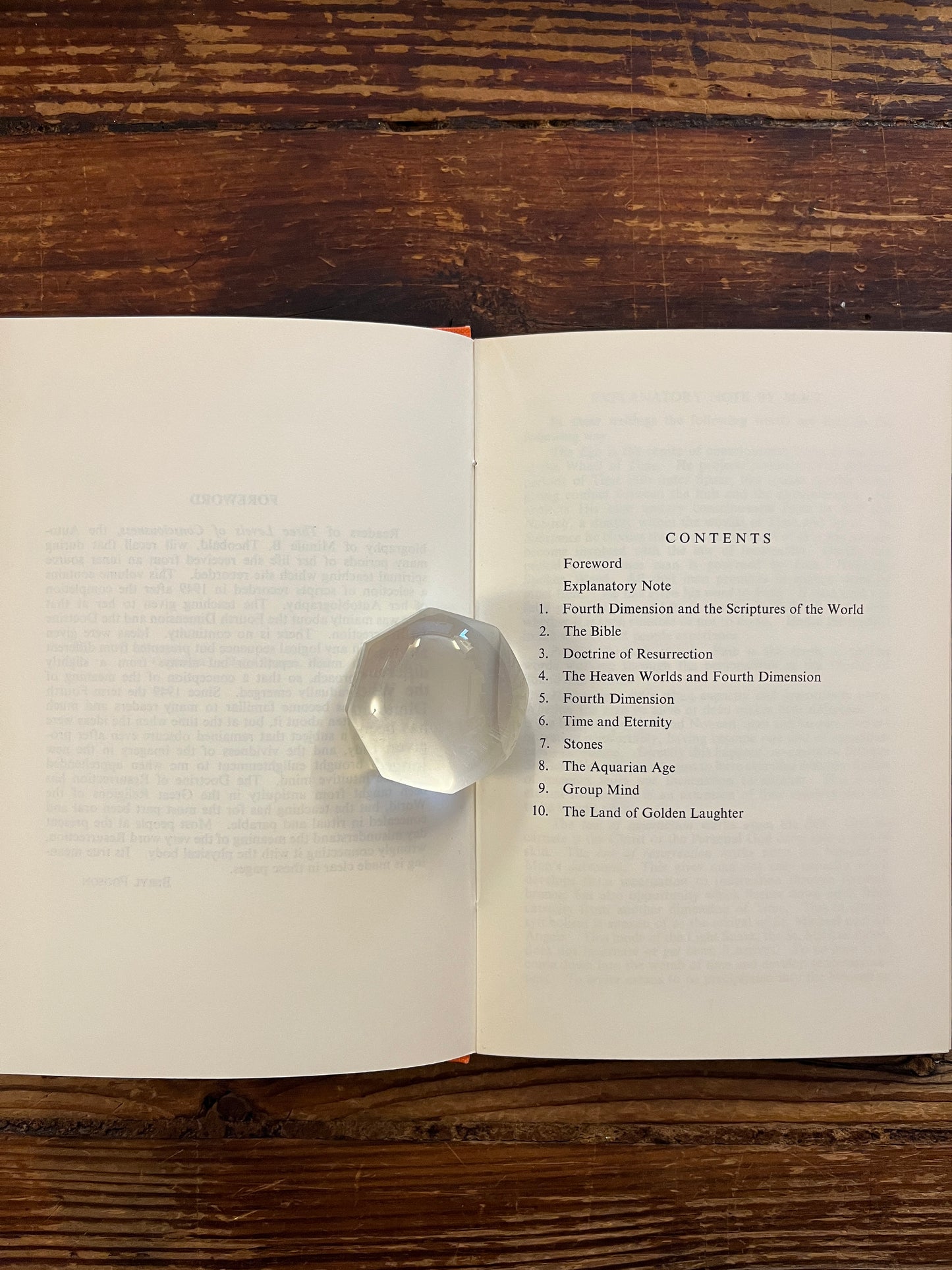 Open book titled 'the canopy of heaven' by Minnie Theobald on a wooden surface