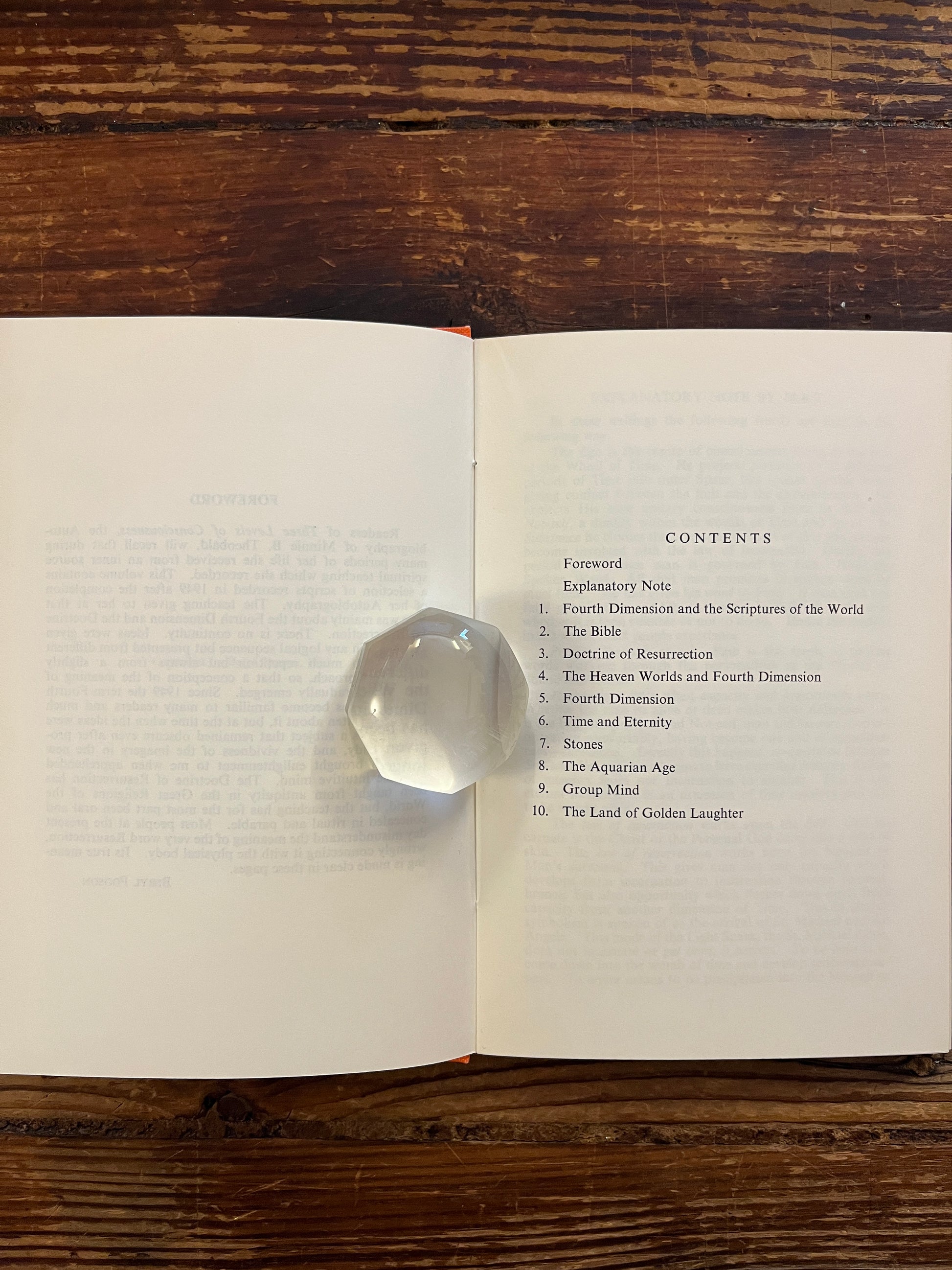 Open book titled 'the canopy of heaven' by Minnie Theobald on a wooden surface