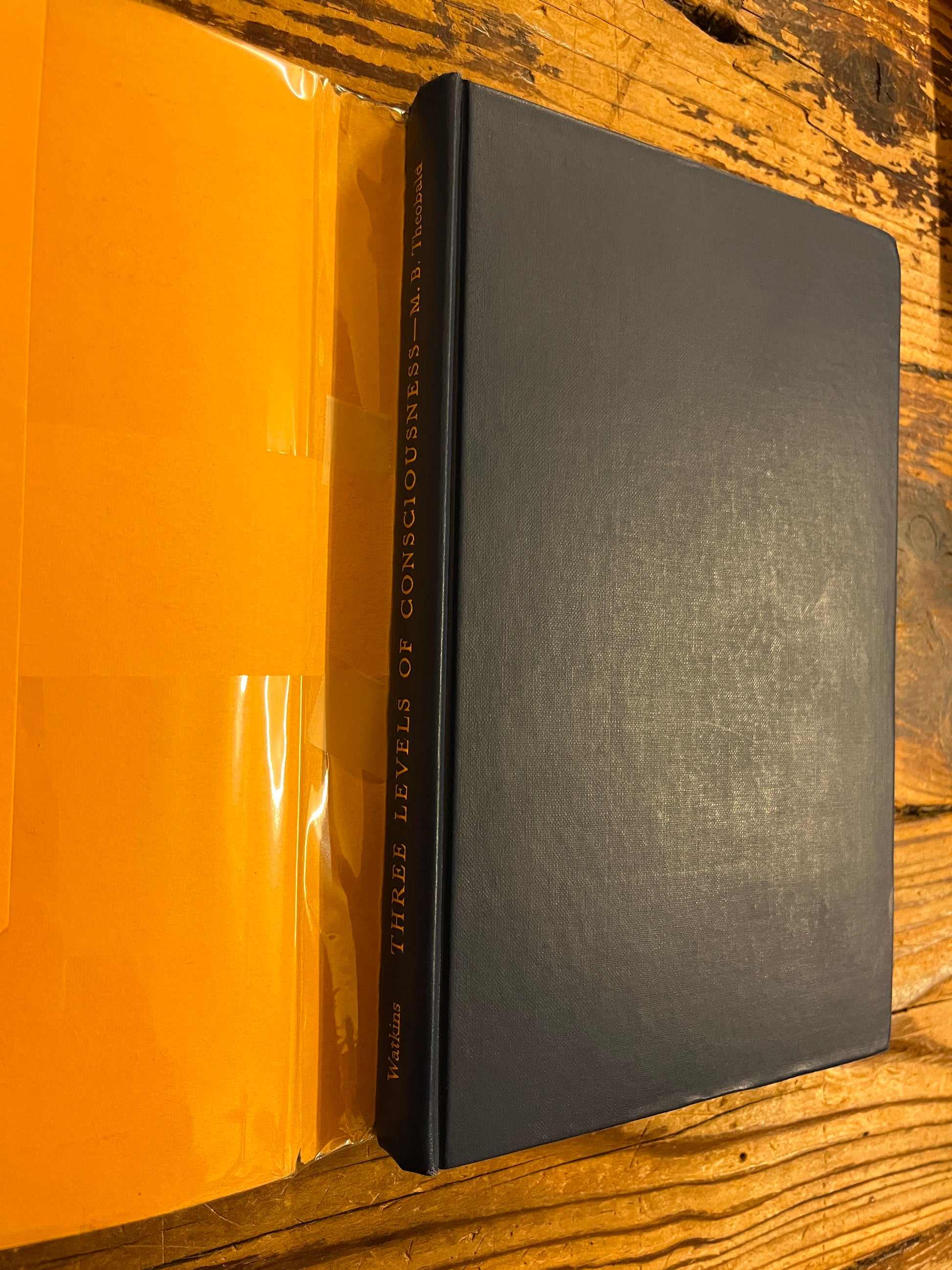 book 'three levels of consciousness' by Minnie B. Theobald on a wooden surface showing the book without dust jacket 