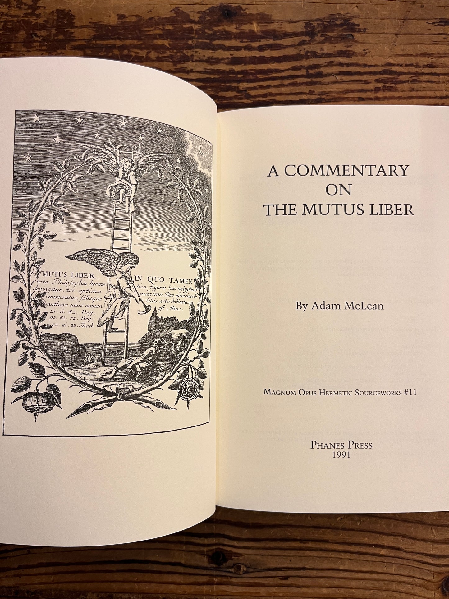 A commentary on the Mutus Liber, Adam McLean