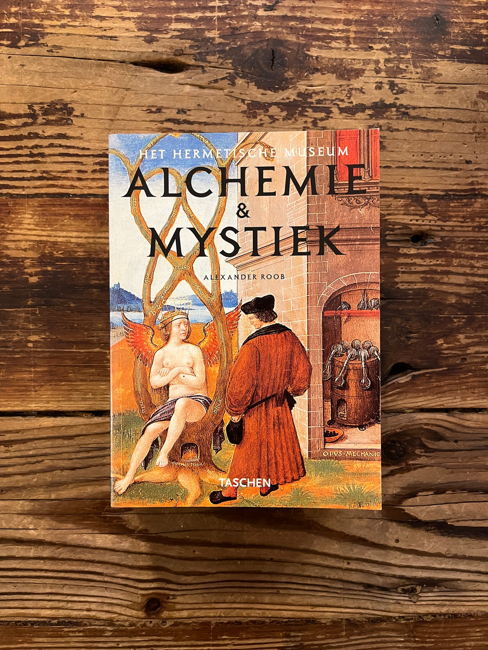 Alchemie & Mystiek door Alexander Roob