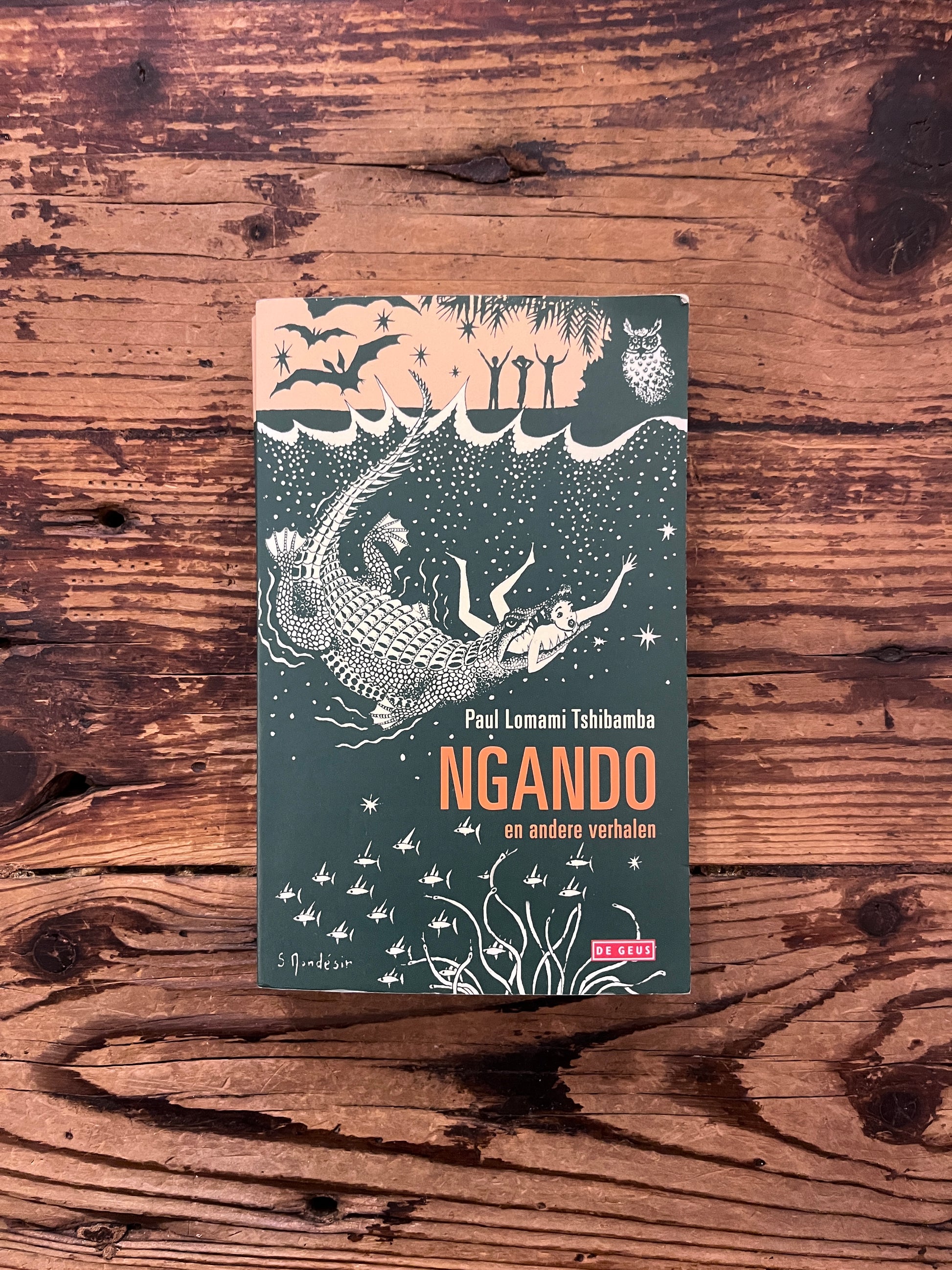 Voorkant van boek met de titel 'Ngando' door Paul Lomami Tshibamba op een houten achtergrond 