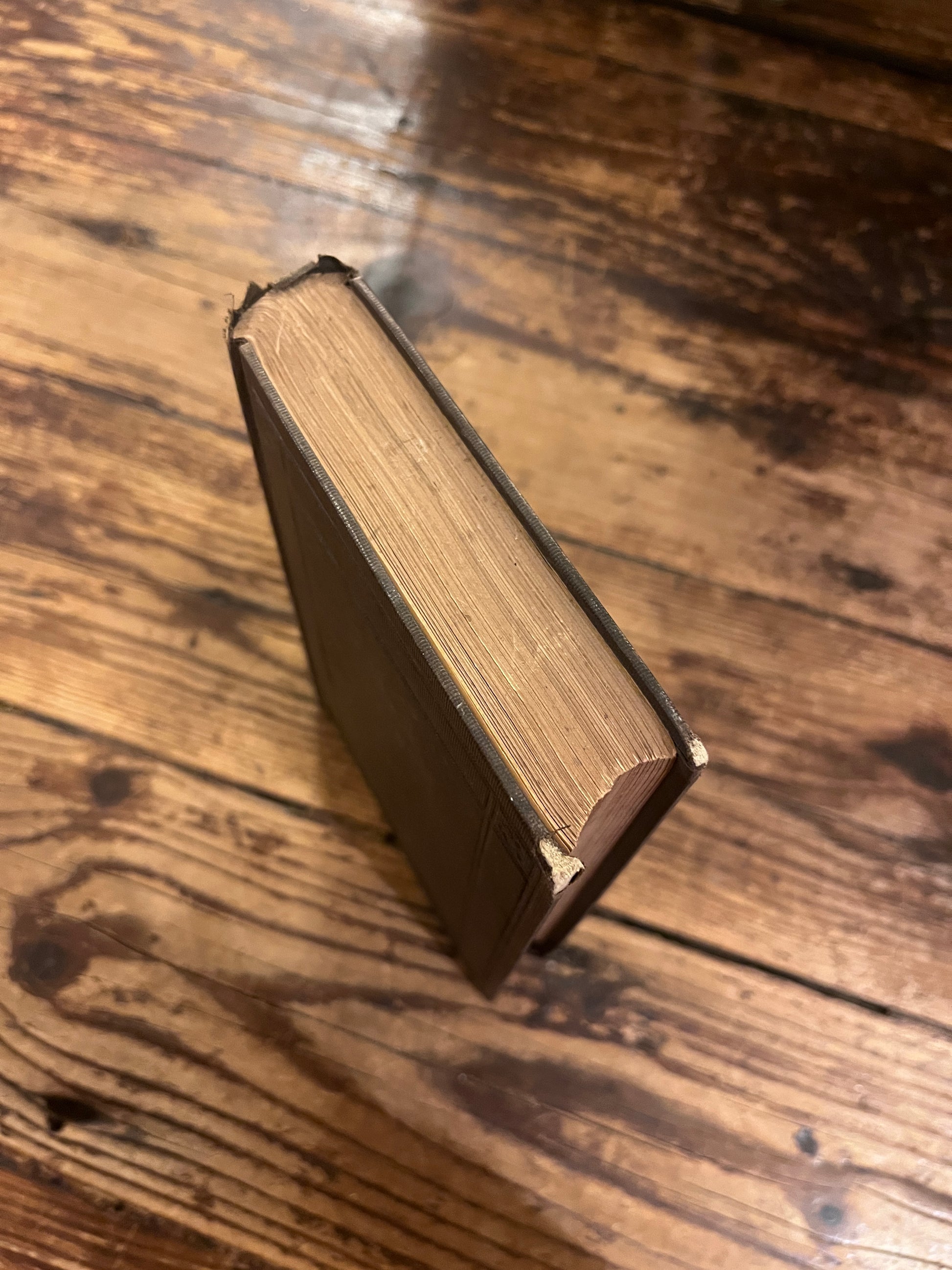 photo of the foredge of the book "english traits"on a wooden backgrround