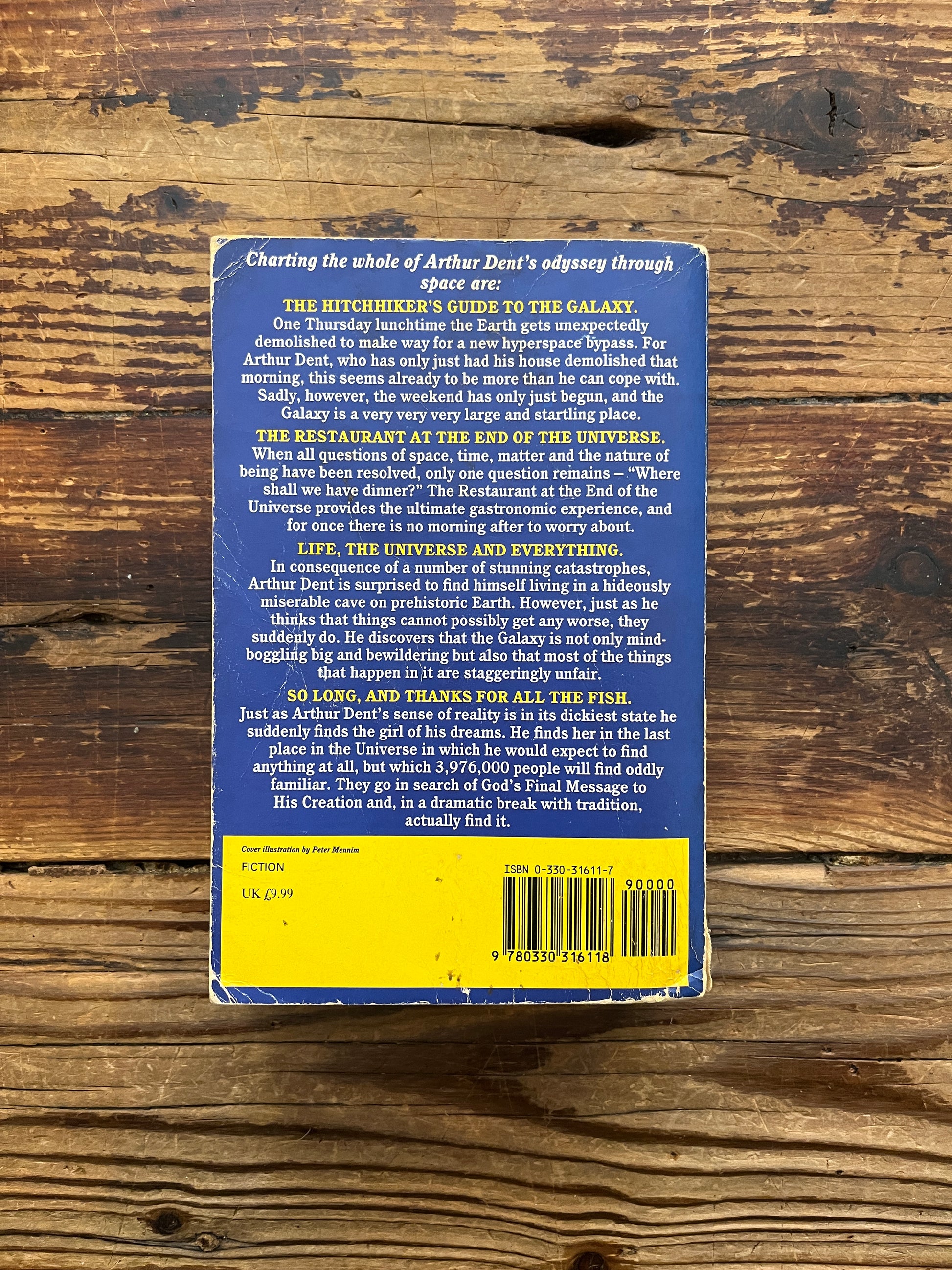 Back cover of book titled 'The Hitchhiker's Guide to the Galaxy' by Douglas Adams on a wooden surface