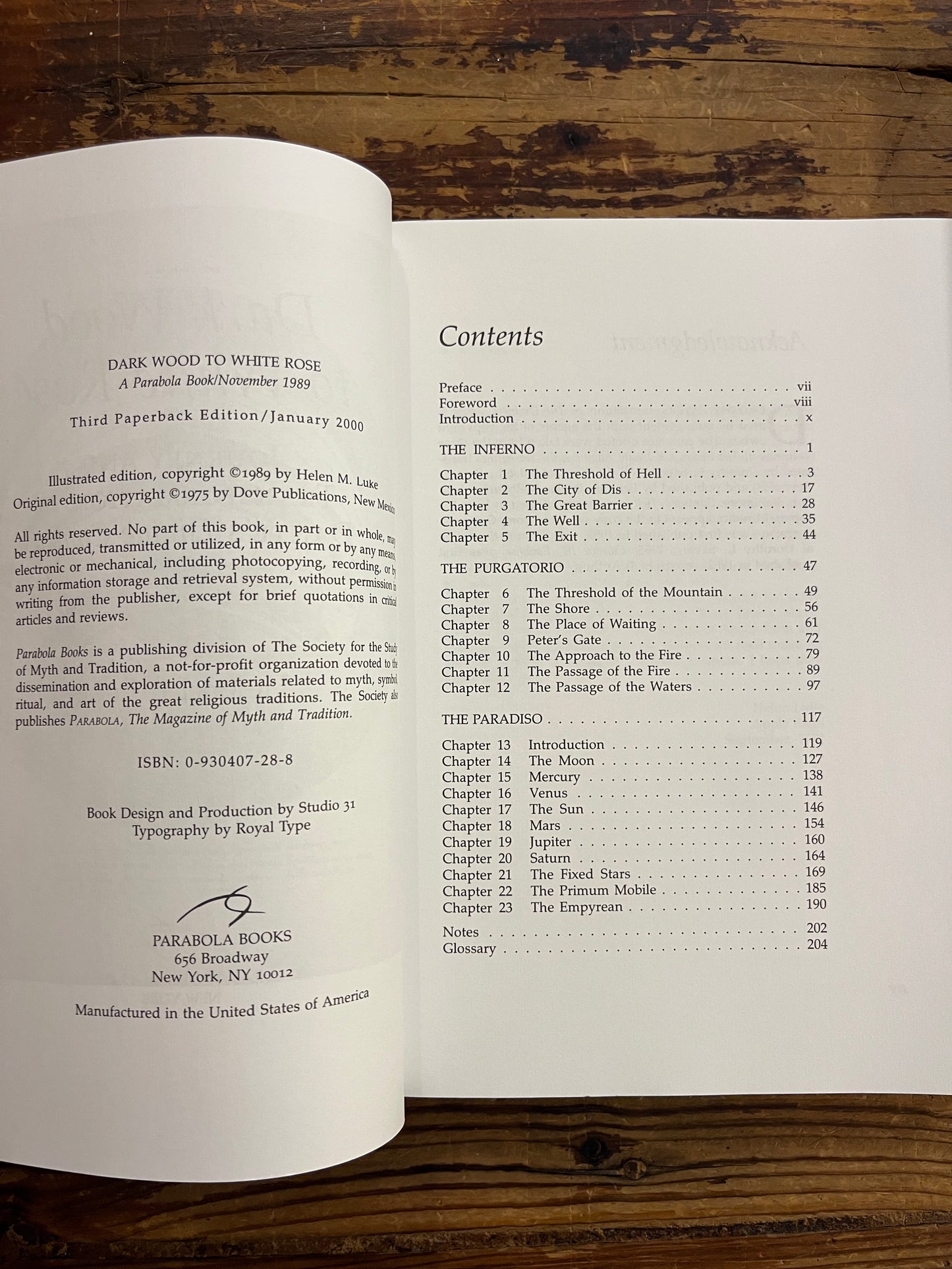 Dark Wood to White Rose, journey and transformation in Dante’s Divine Comedy