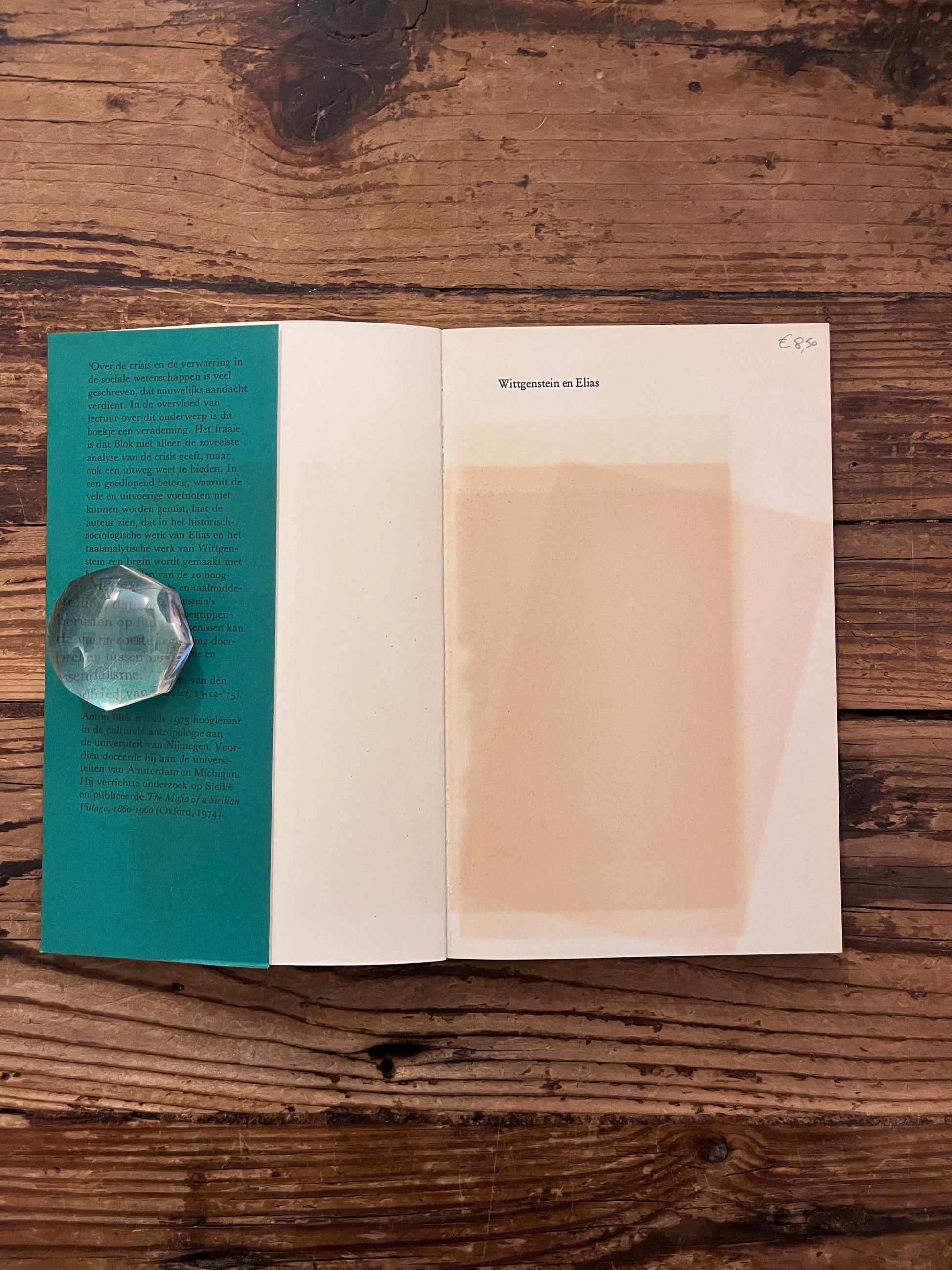 foto van de eerste pagina van het boek "Wittgenstein en Elias"op houten achtergrond