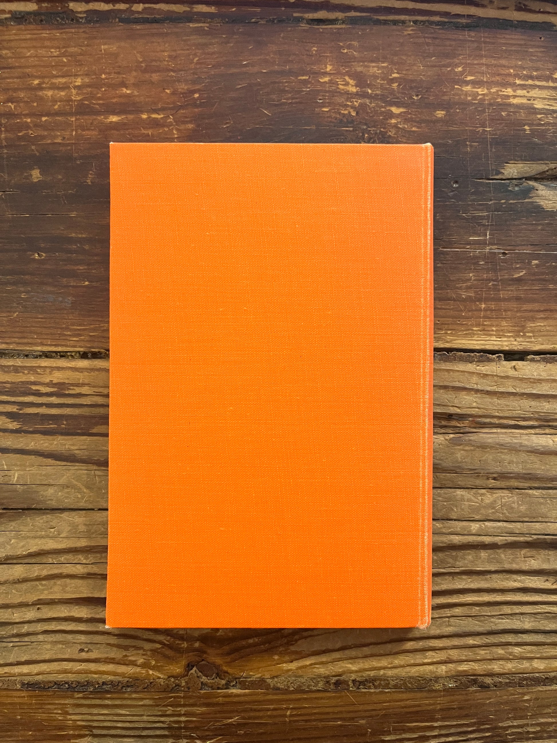 Back cover of book titled 'the canopy of heaven' by Minnie Theobald on a wooden surface