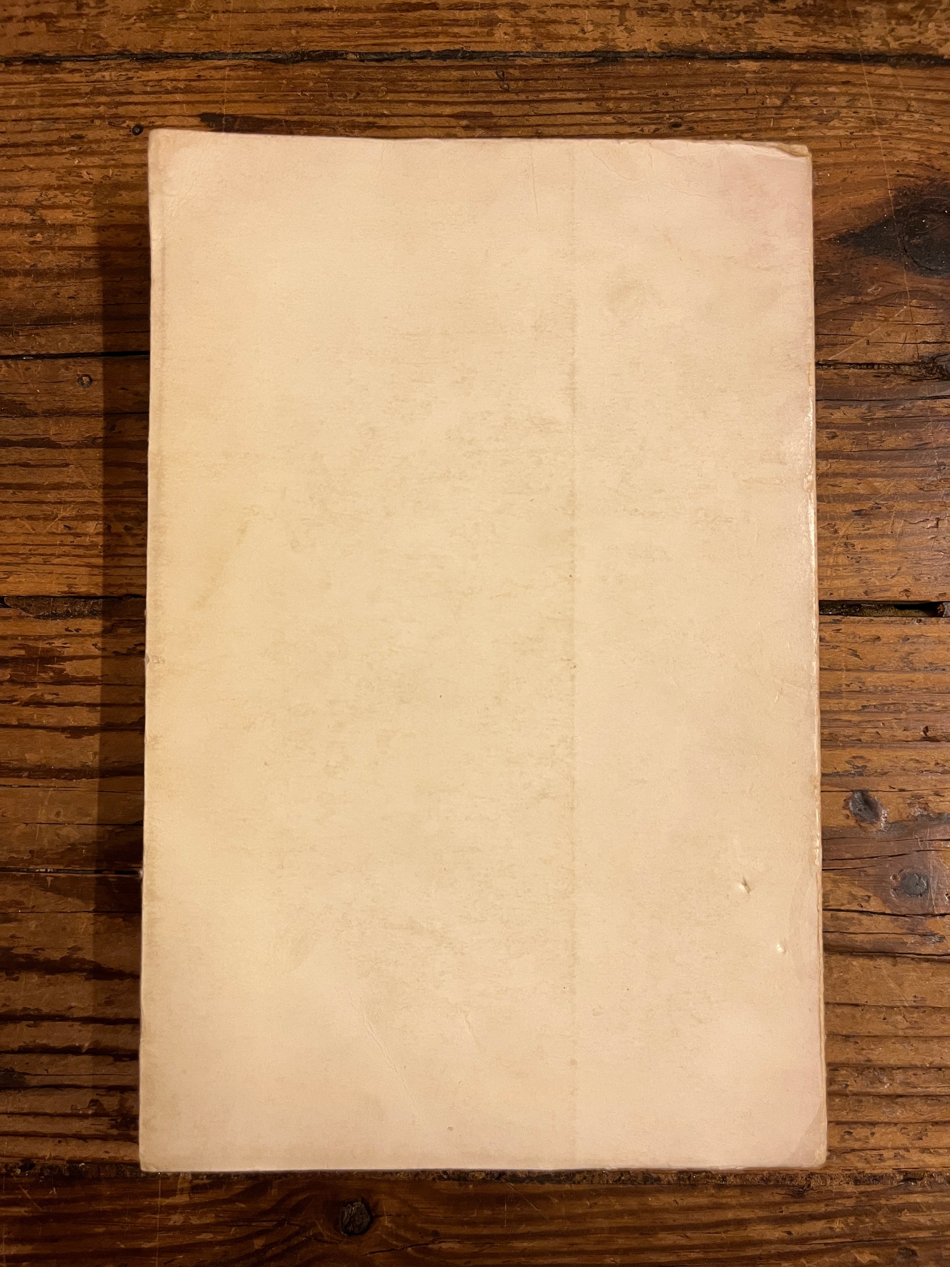 quatrième de couverture du livre "pascal"sur fond de bois