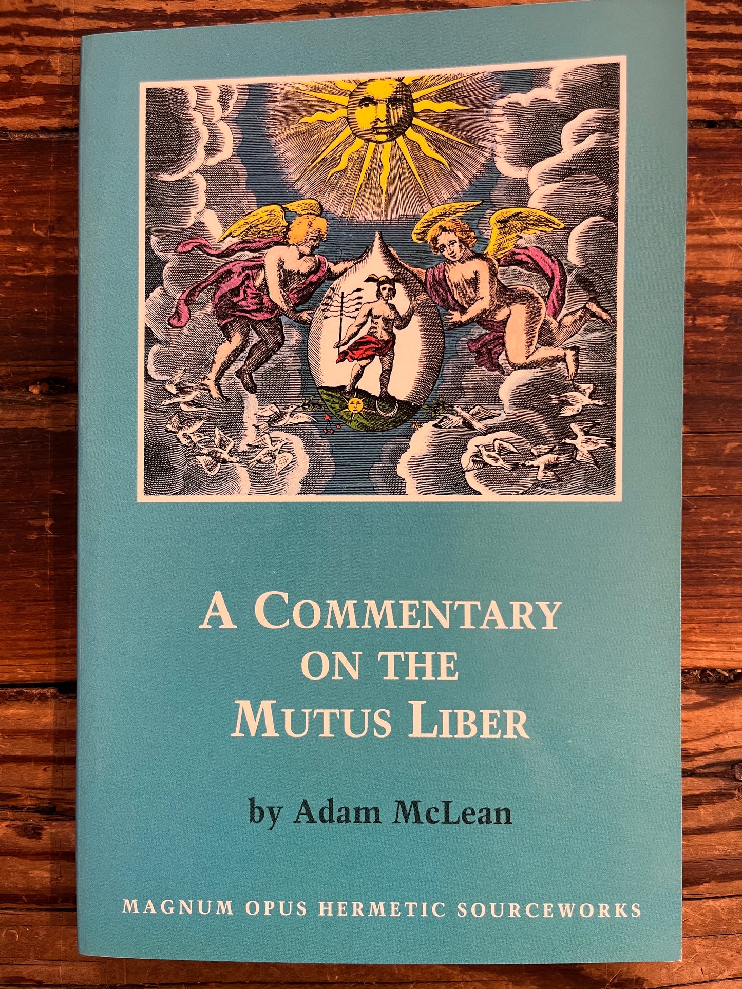 A commentary on the Mutus Liber, Adam McLean