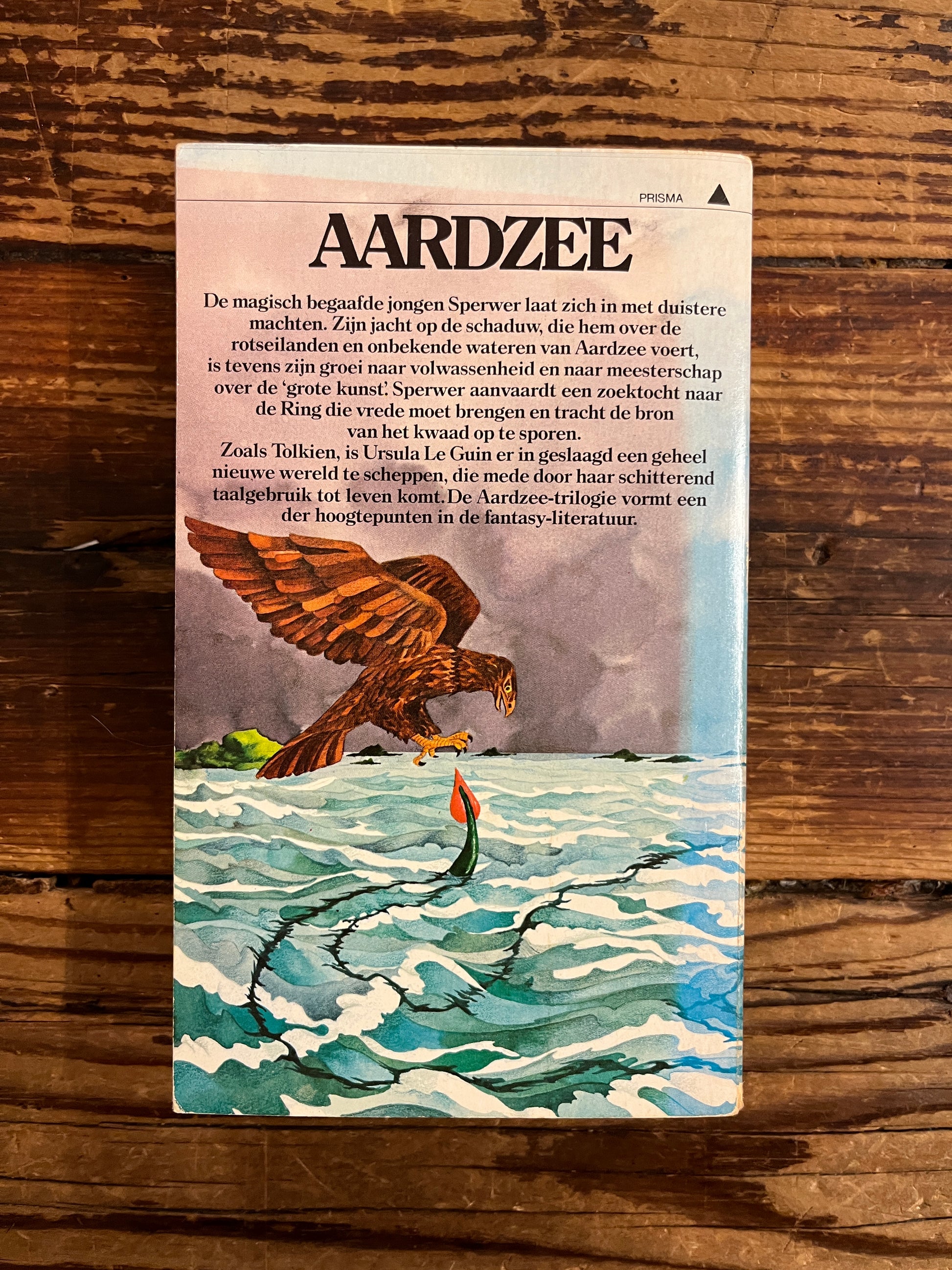 Achterkant van boek met de titel 'Aardzee' door Ursula K Le Guin op een houten achtergrond 