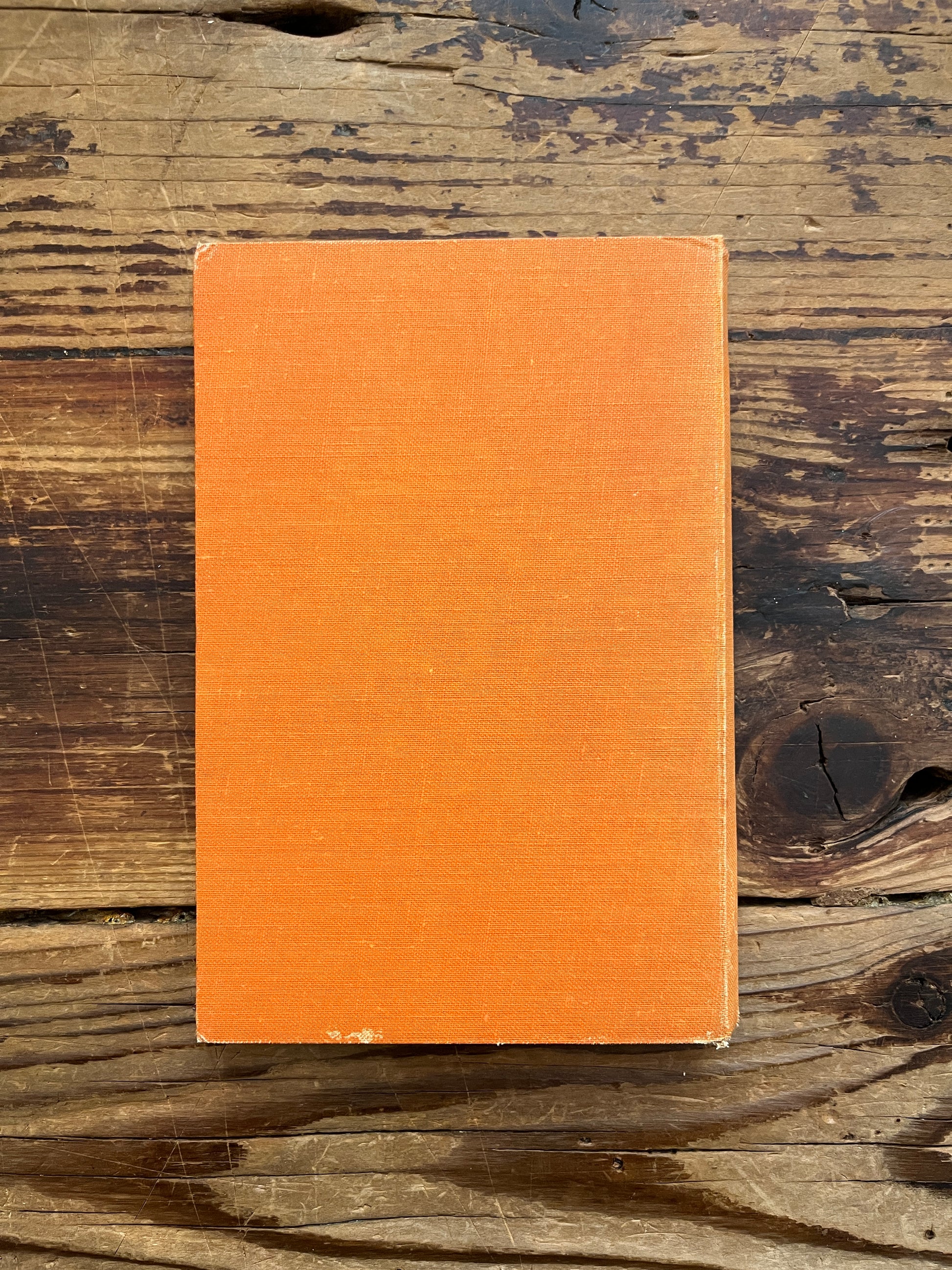 Back cover of book with the tile 'the eternal calendar' by Minnie Theobald on a wooden surface