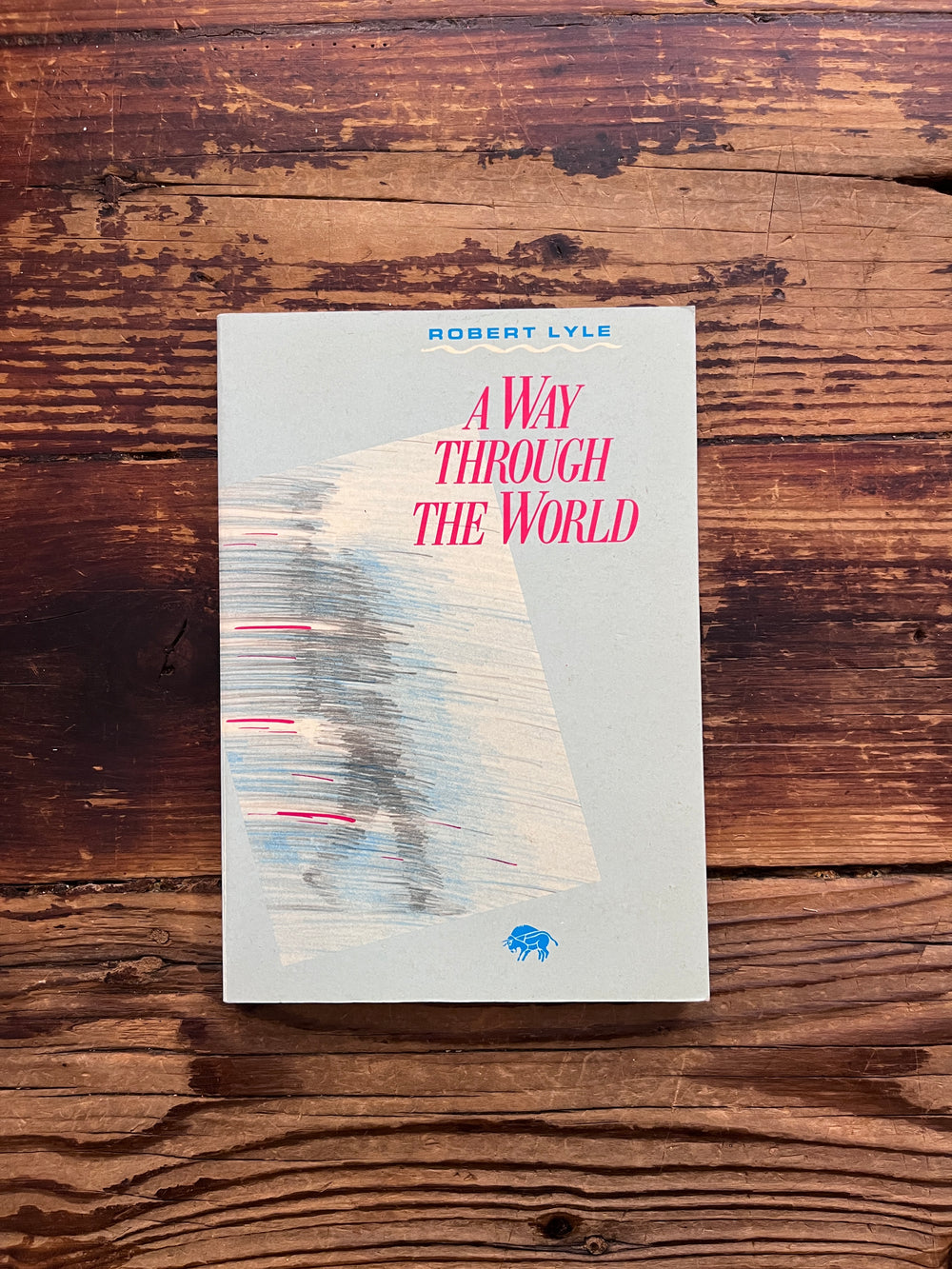 A way through the world by Robert Lyle