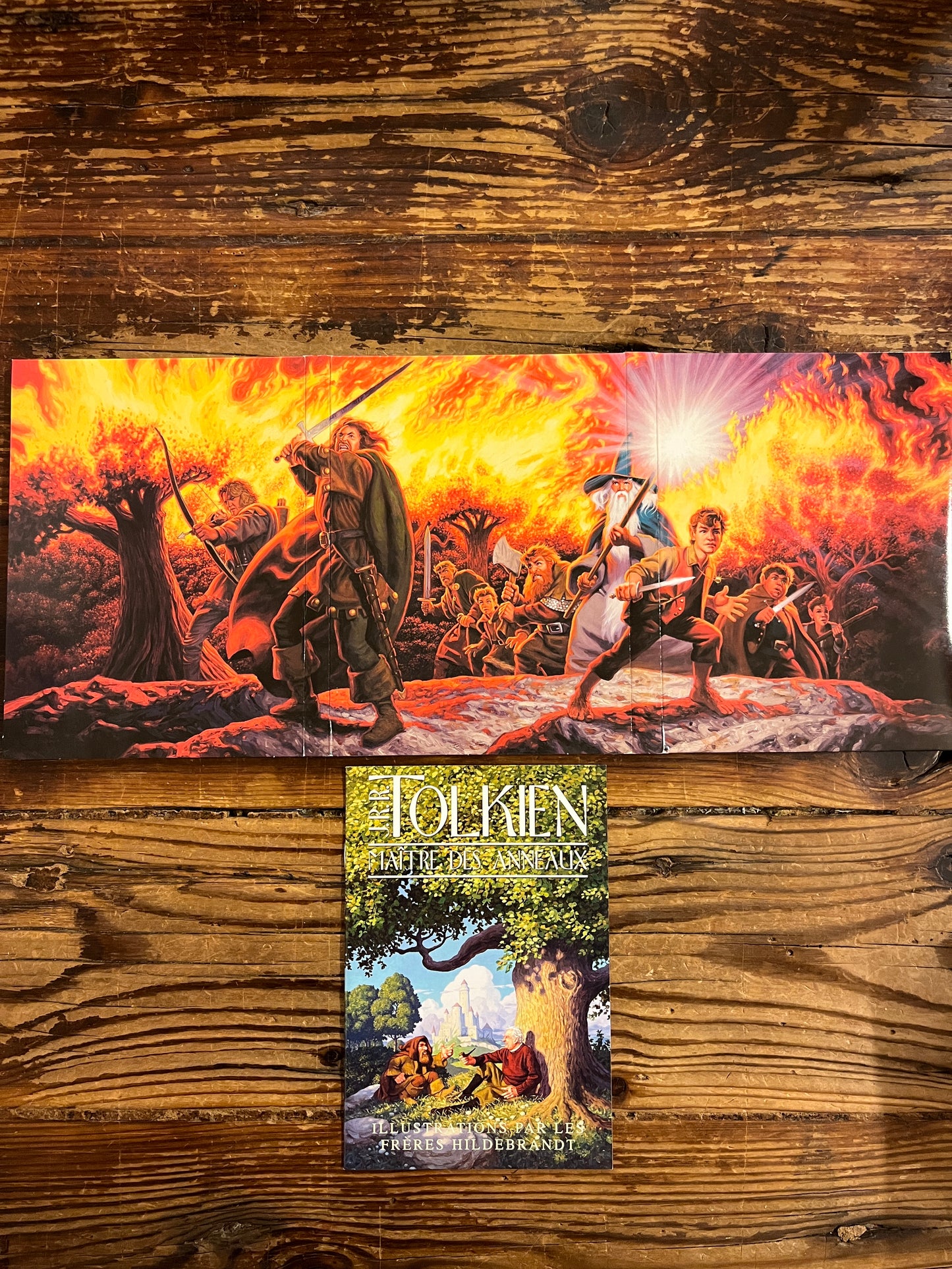 Dvd 'Tolkien Maitre des Anneaux' ouvert et livret avec les illustrations des Frères Hildebrandt