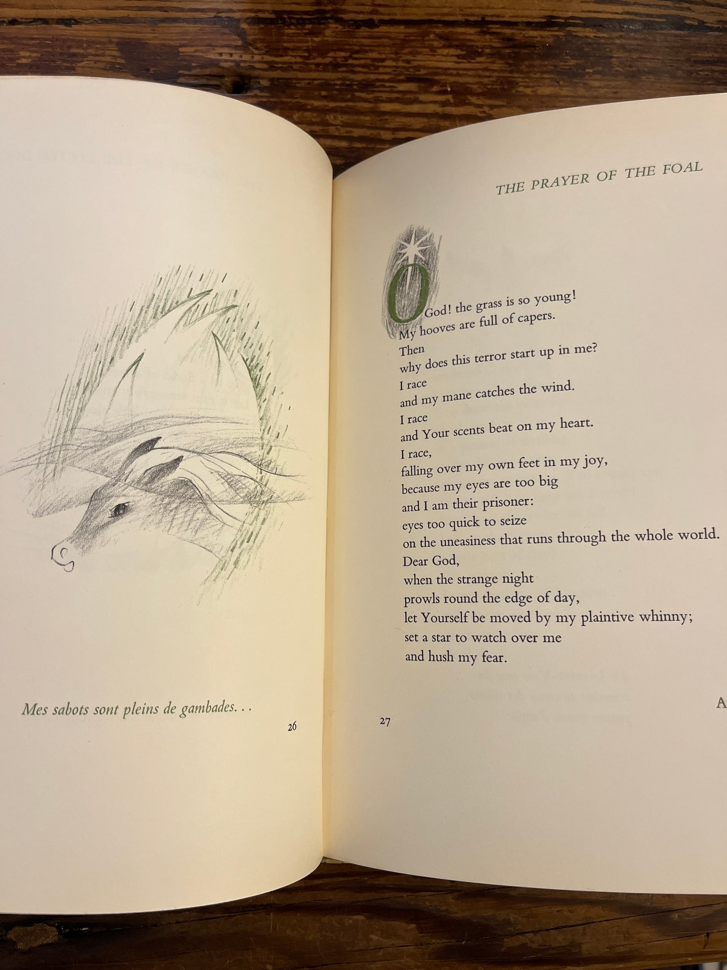 Prayers from the Ark, Carmen Bernos de Gasztold