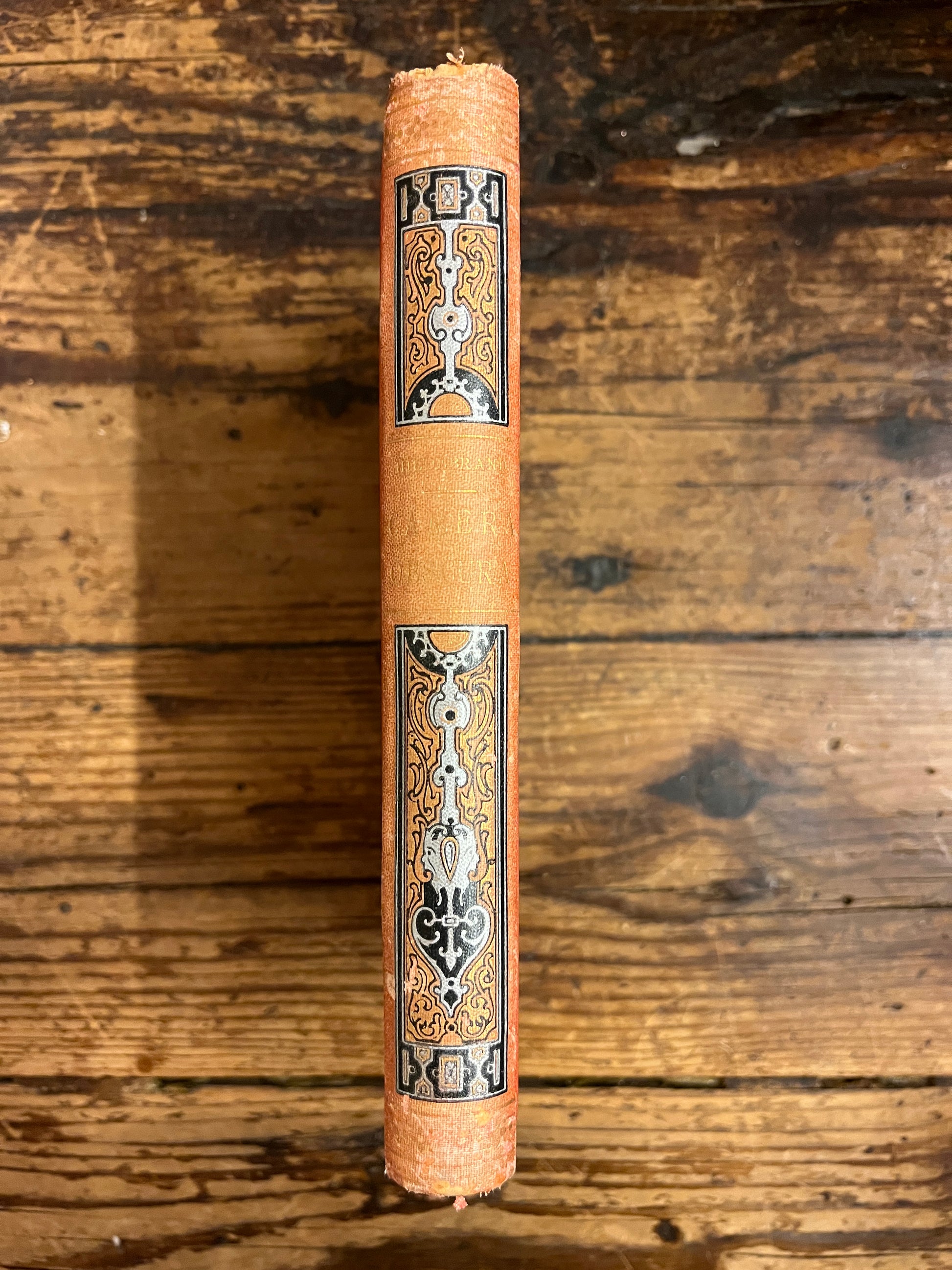 rug van het boek "camera obscura"op houten achtergrond