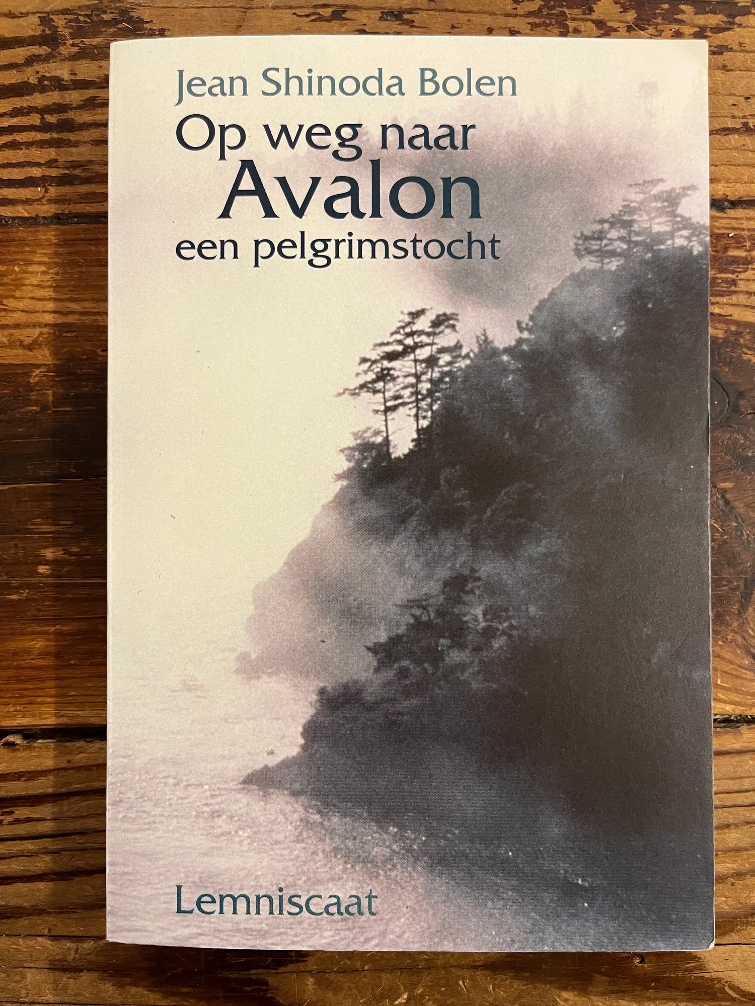 Boek 'Op weg naar Avalon' door Jean Shimoda Bolen op een houten tafel 