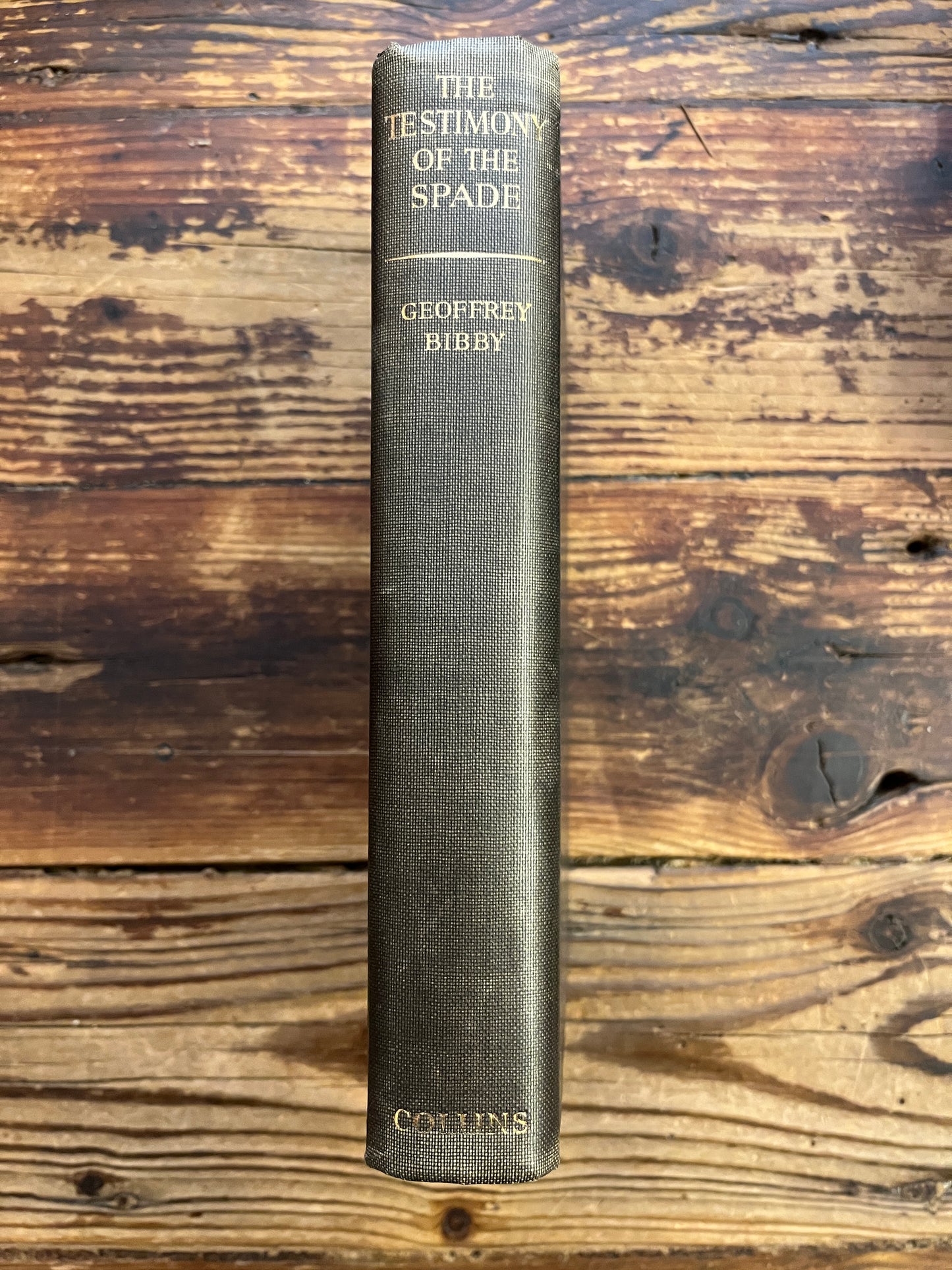 The testimony of spade, Geoffrey Bibby