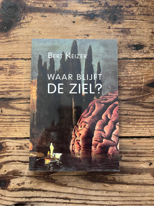 foto van de cover van het boek "waar blijft de ziel" op houten achtergrond