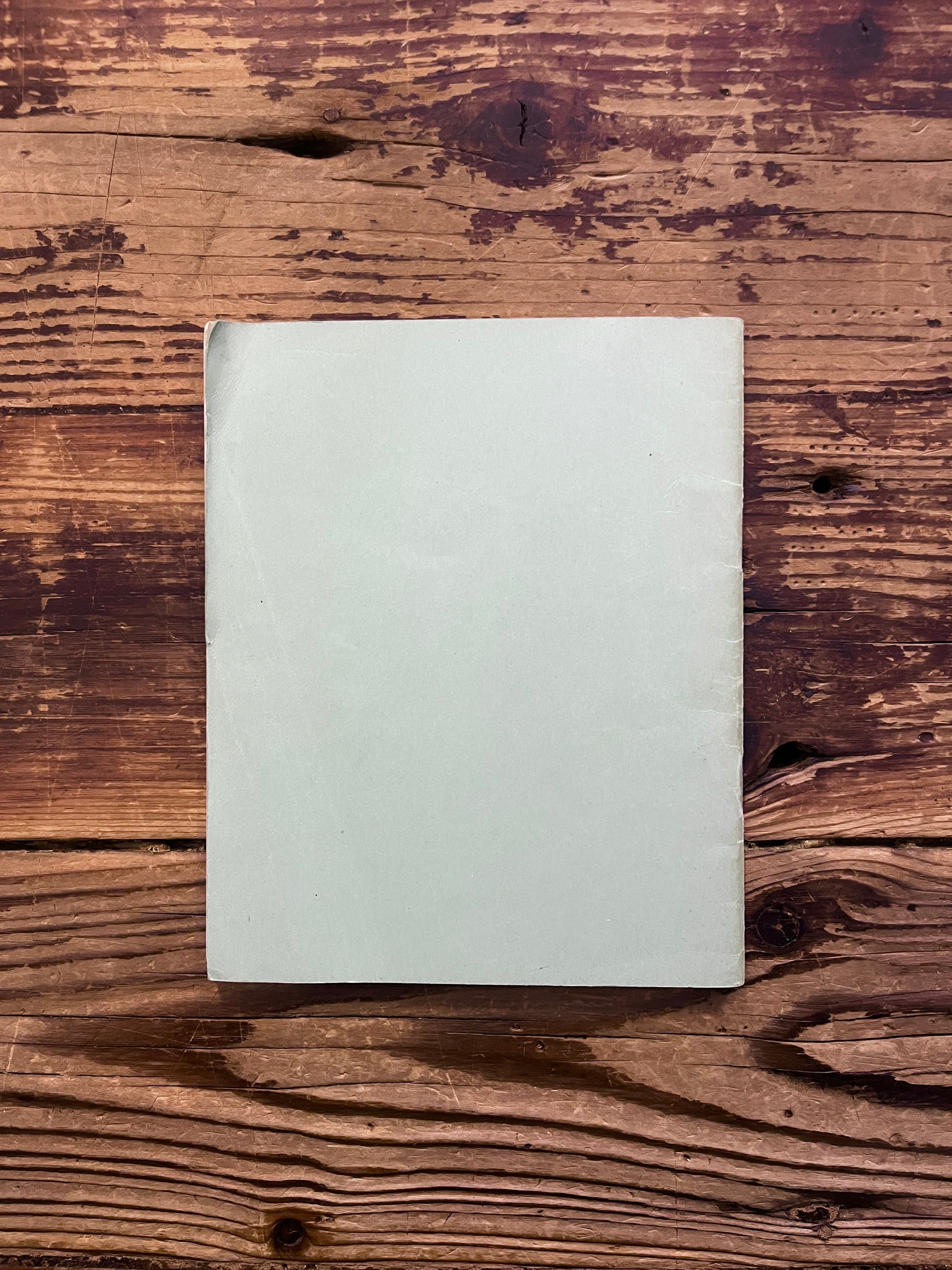 Back cover of booklet with the title 'Prisoners of time' by Mollie Moncrieff on a wooden surface 