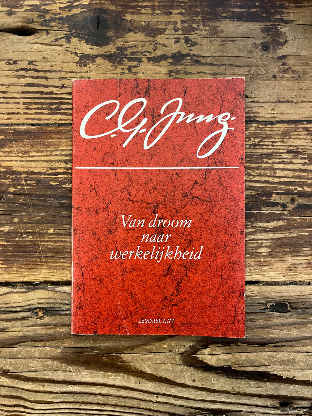 C.G. Jung, van droom naar werkelijkheid