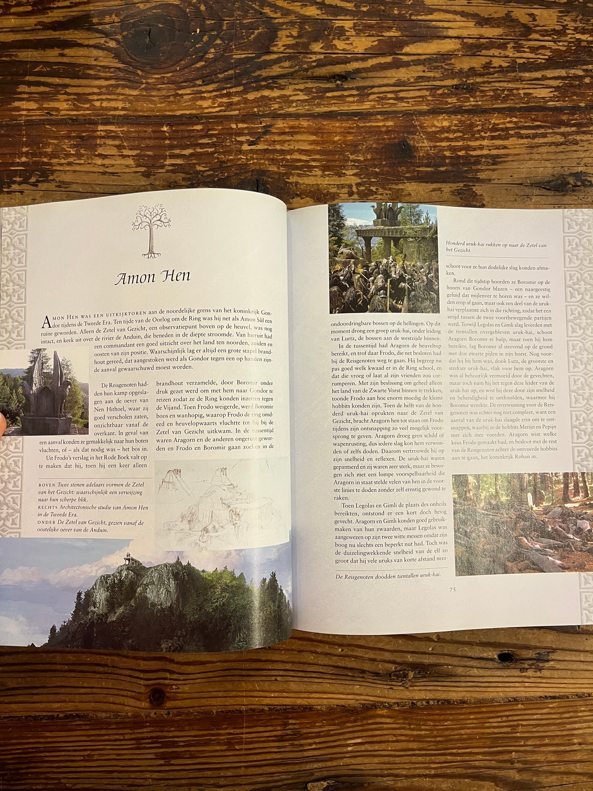 open boek met de titel 'the lord of the rings, wapens en veldslagen' op een houten achtergrond 