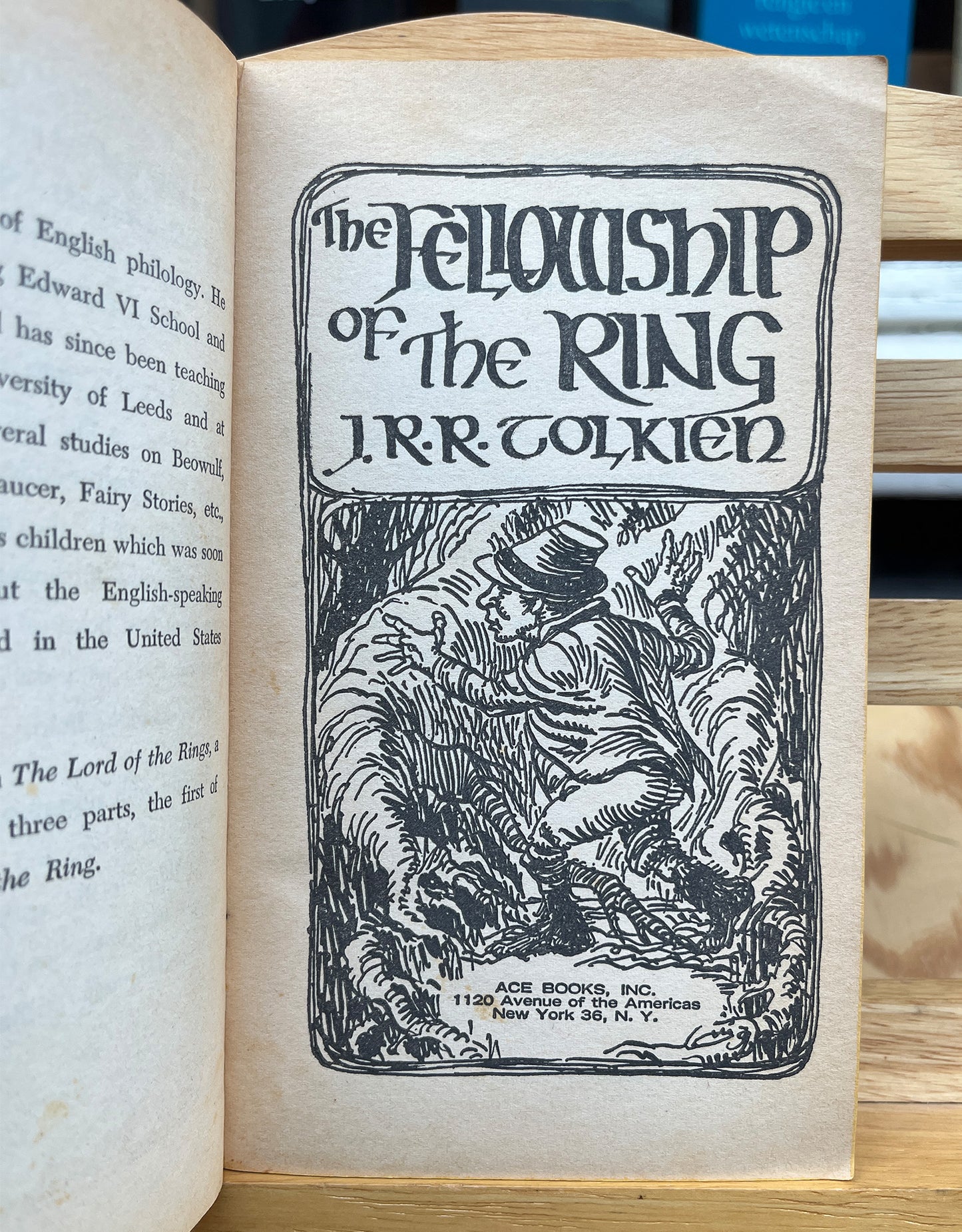 The Lord of the Rings, The Fellowship of the ring, J.R.R. Tolkien, First paperback edition 1965