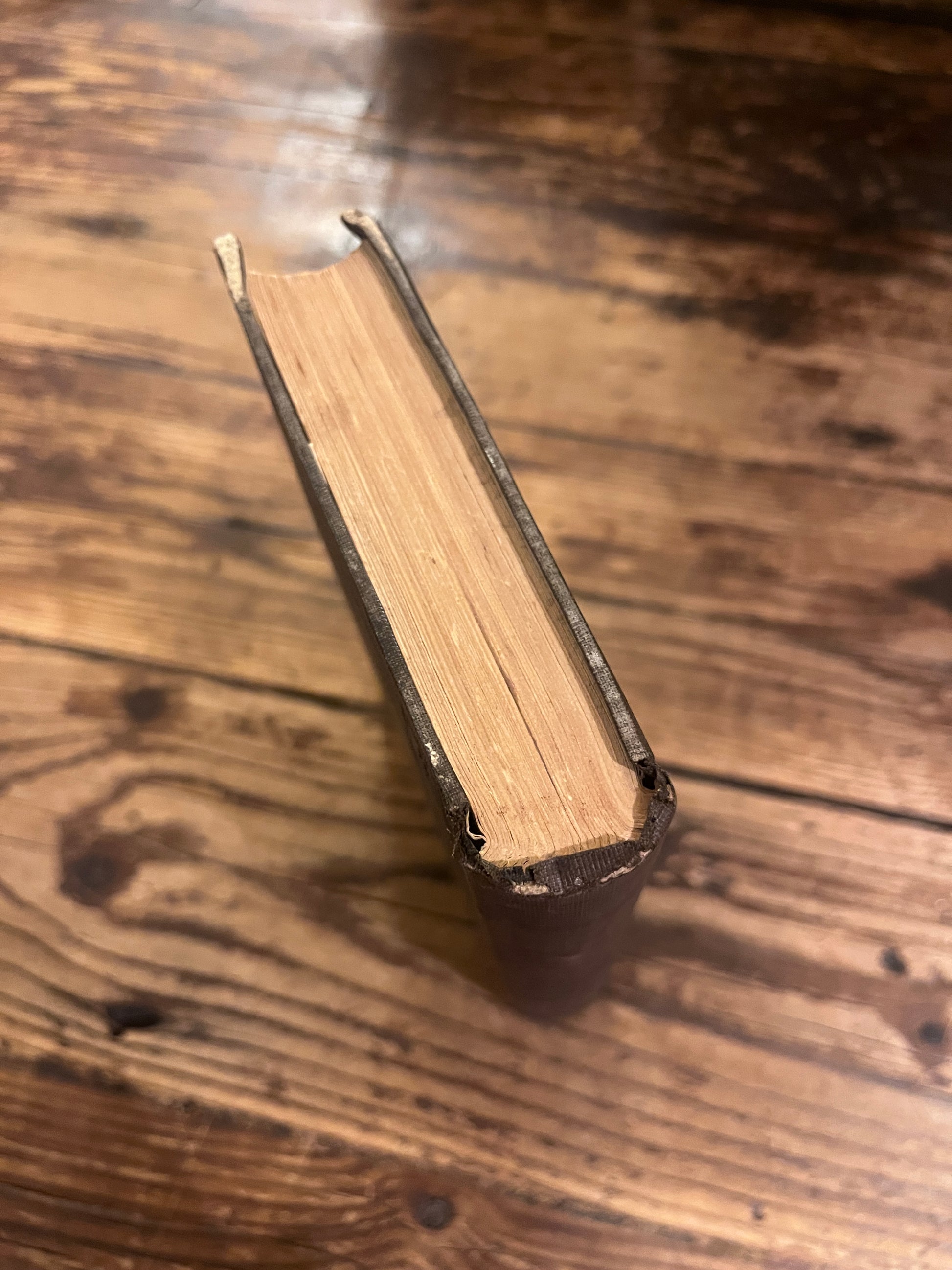 photo of the foreedges of the book "english traits"on a wooden background