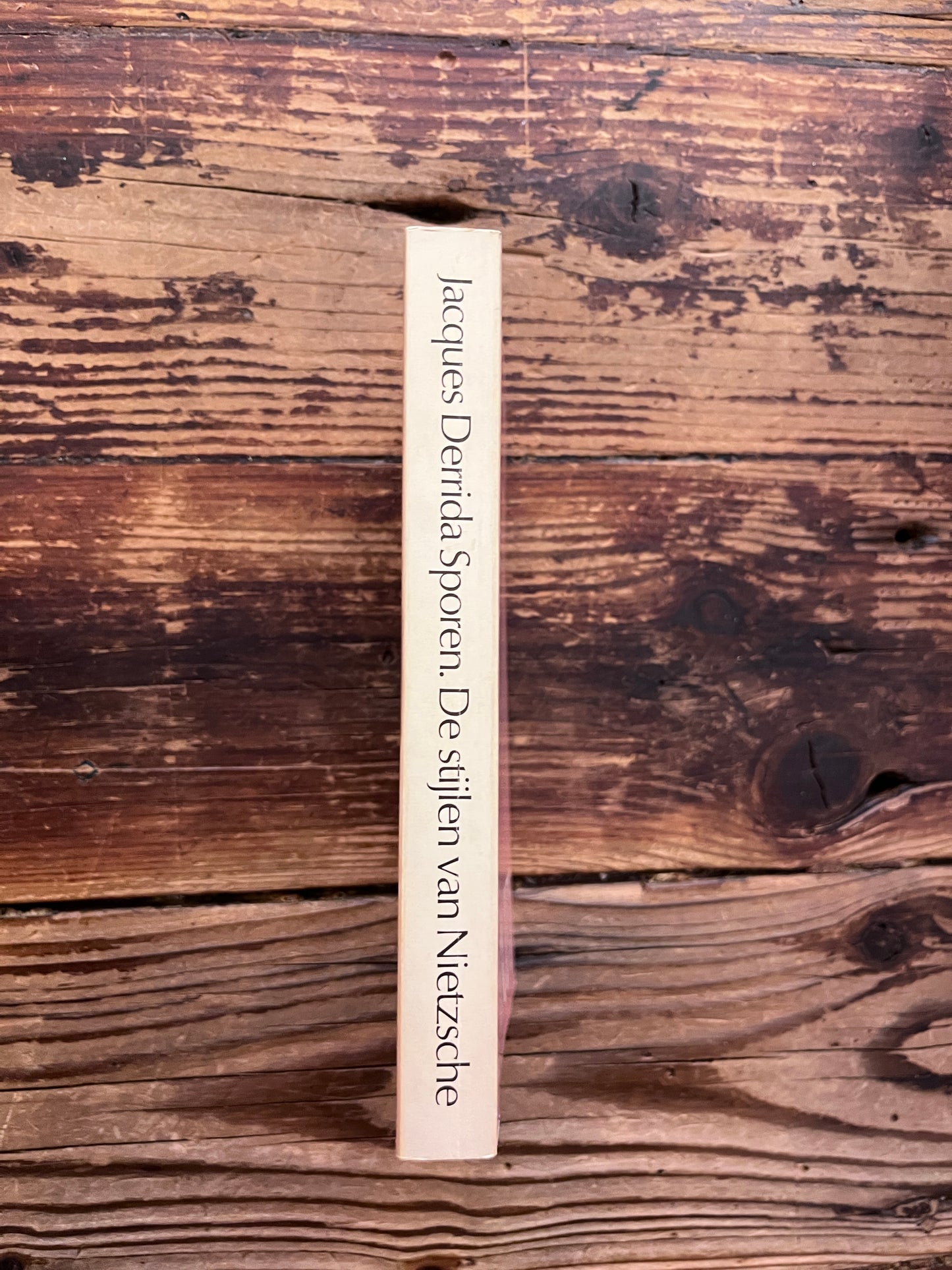 foto van de rug van het boek "de stijlen van nietzsche" op houten achtergrond 