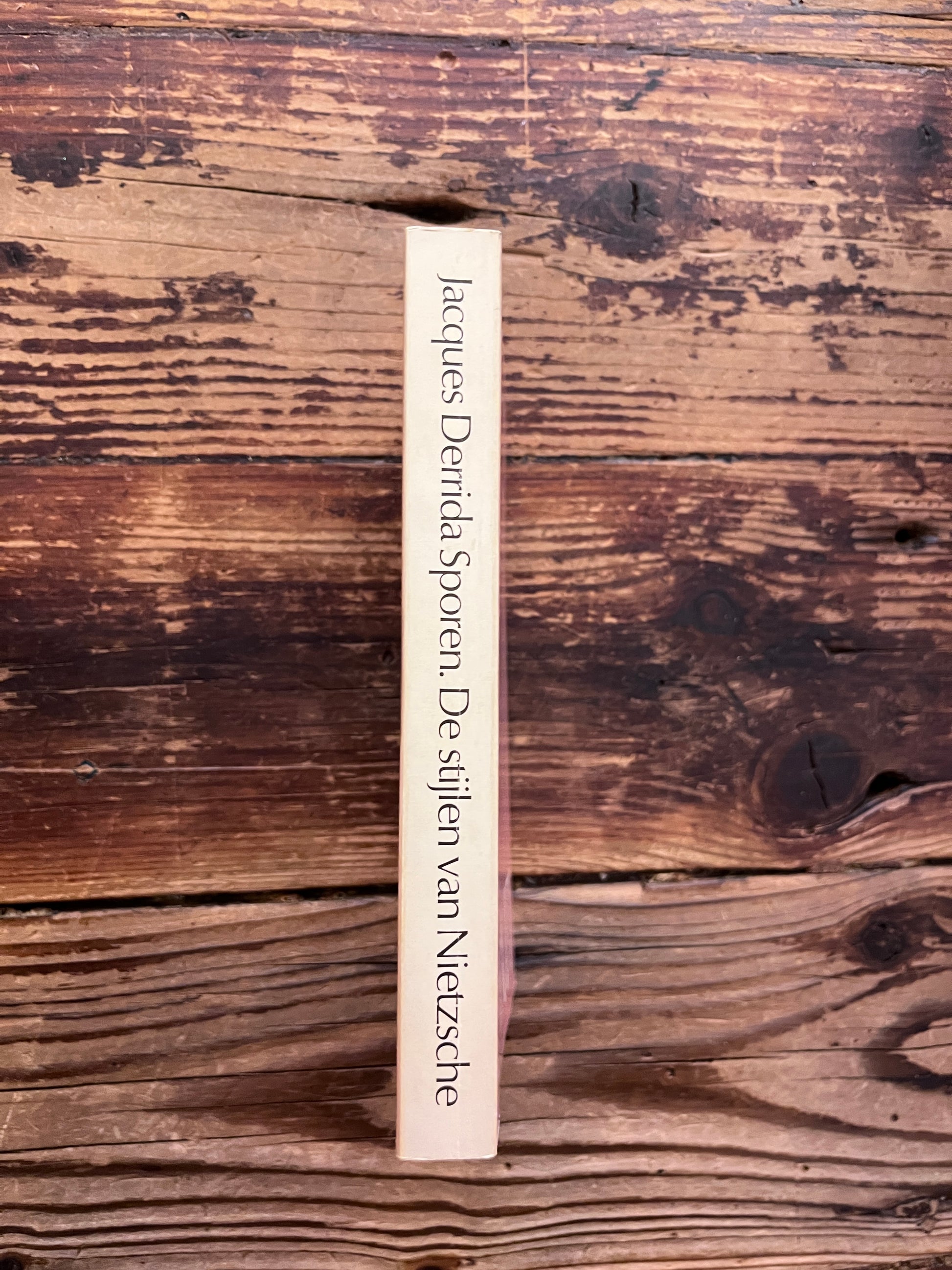foto van de rug van het boek "de stijlen van nietzsche" op houten achtergrond 