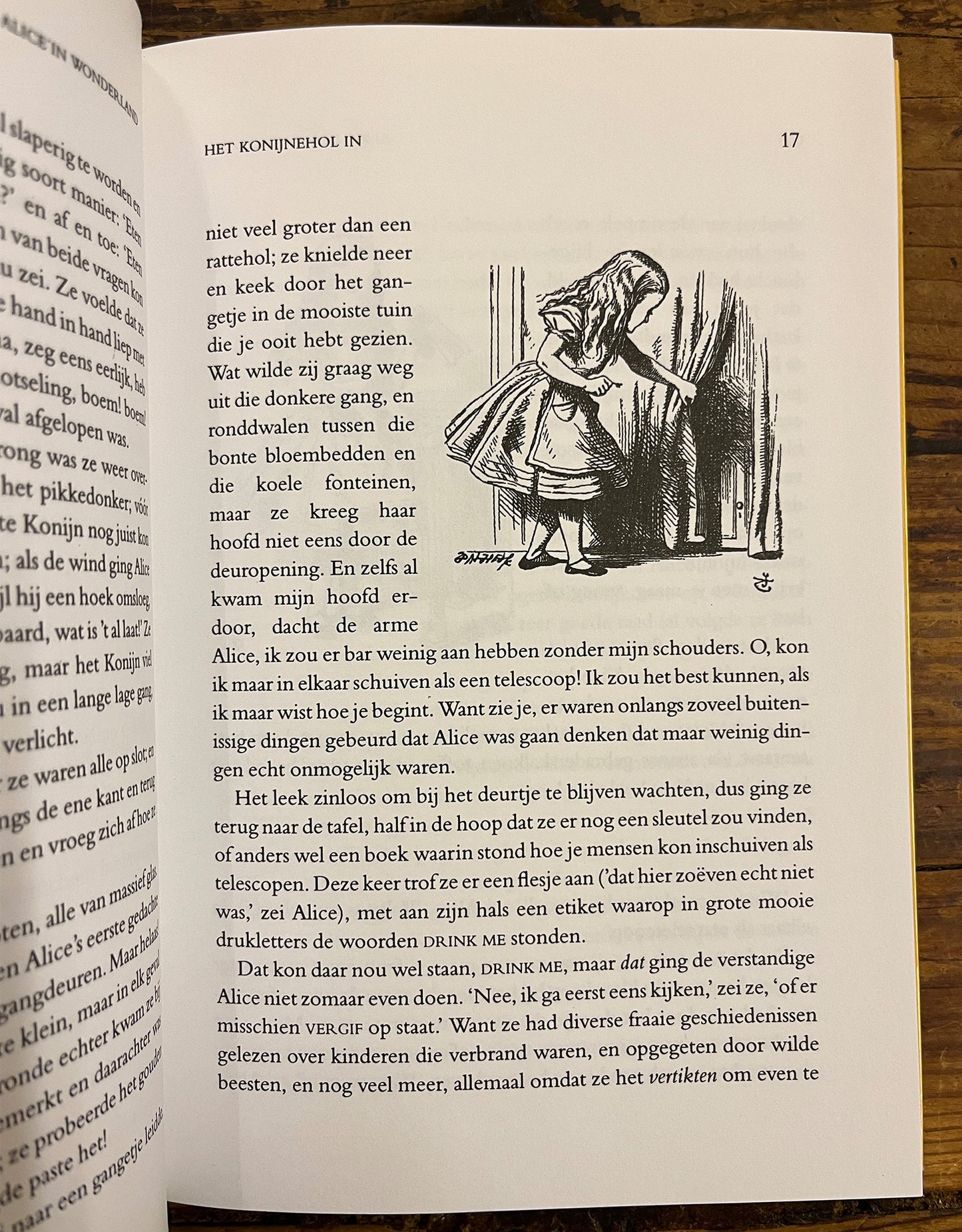 De avonturen van Alice in Wonderland, Lewis Carroll
