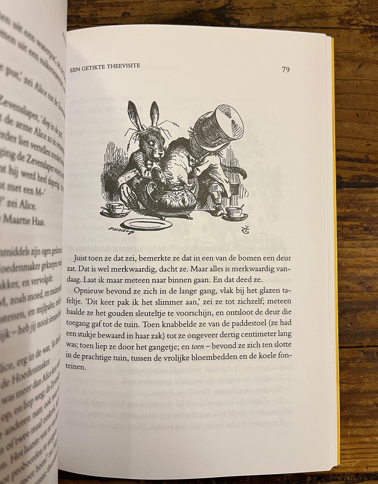 De avonturen van Alice in Wonderland, Lewis Carroll