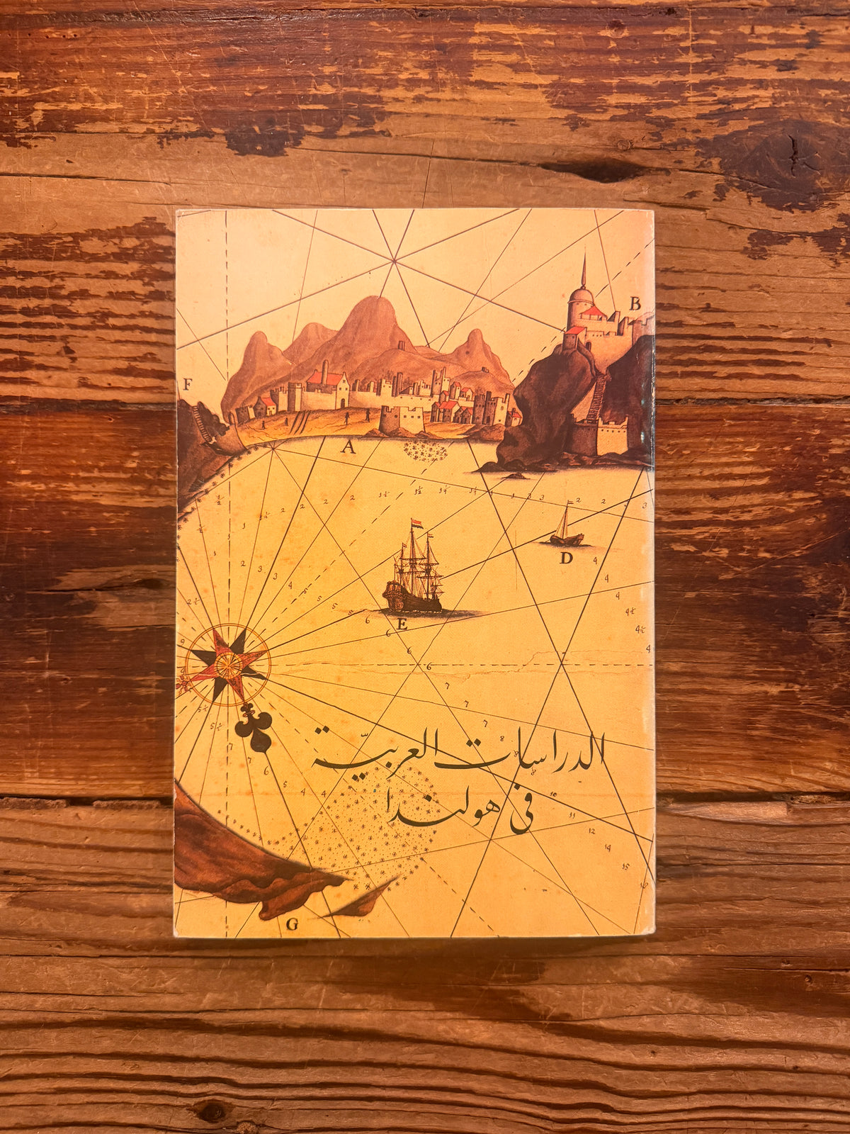 Back cover of a book titled 'Arabic Studies in the Netherlands' by J. Brugman en F. Schröder, lying on a wooden surface