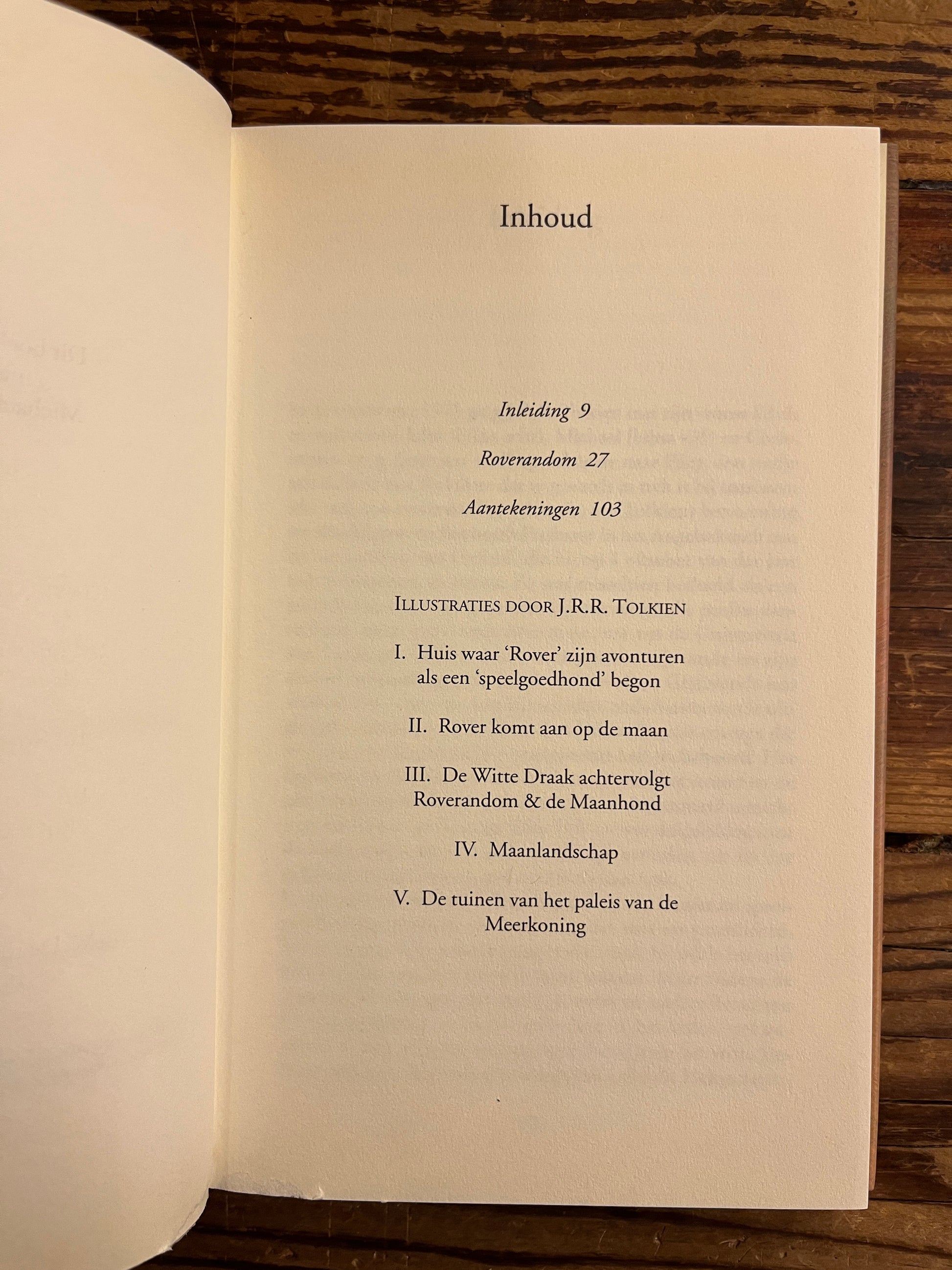 Open boek met de titel 'Roverandom' door J.R.R. Tolkien op een houten achtergrond 