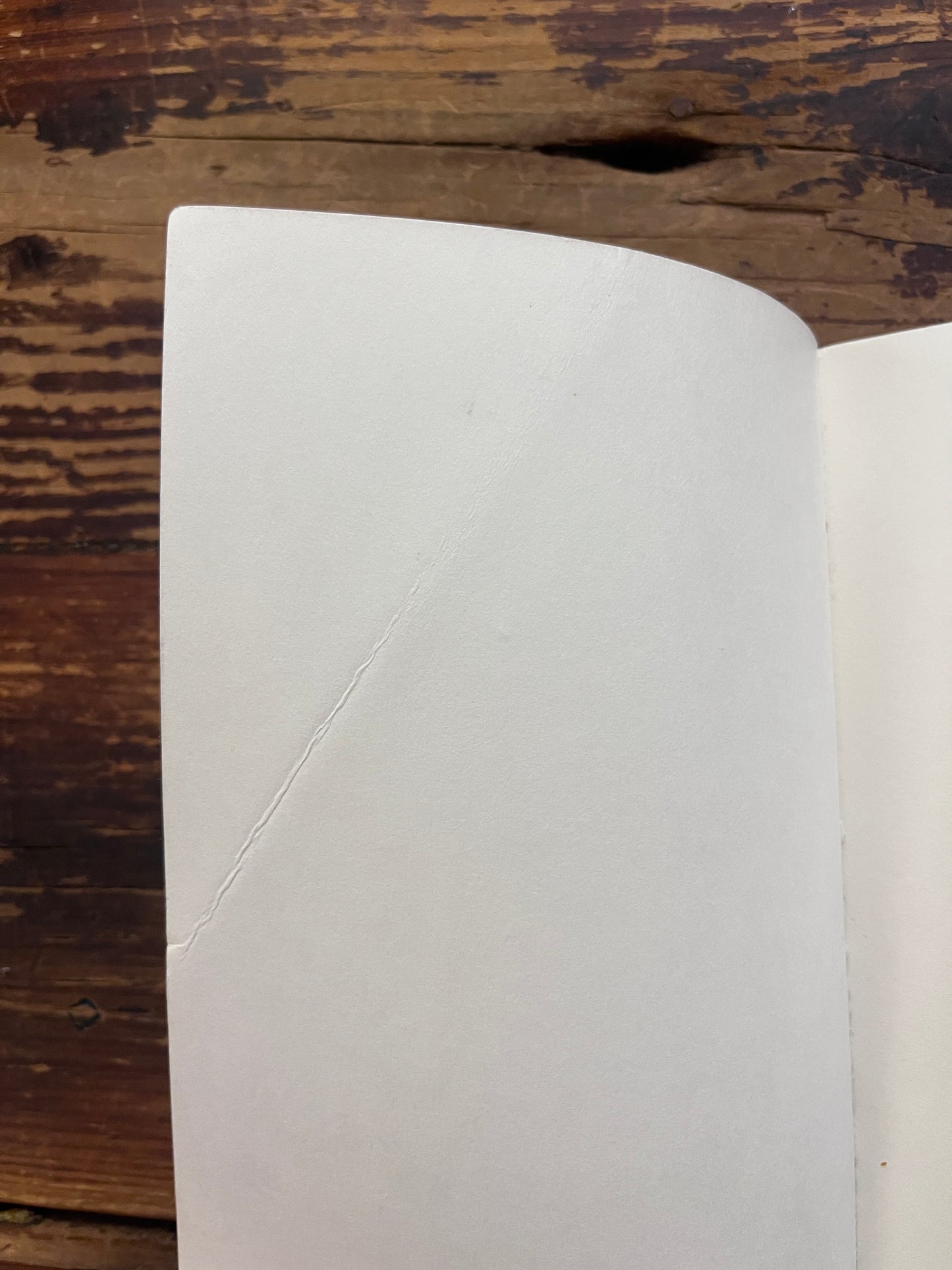 Binnenkant van voorkant van boek met de titel 'de alchemist' door Paulo Coelho op een houten achtergrond 