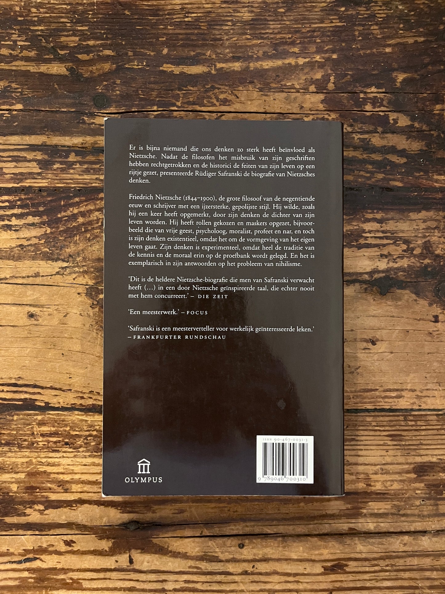 foto van de omslag van het boek "nietzsche een biografie van zijn denken" op een houten achtergrond