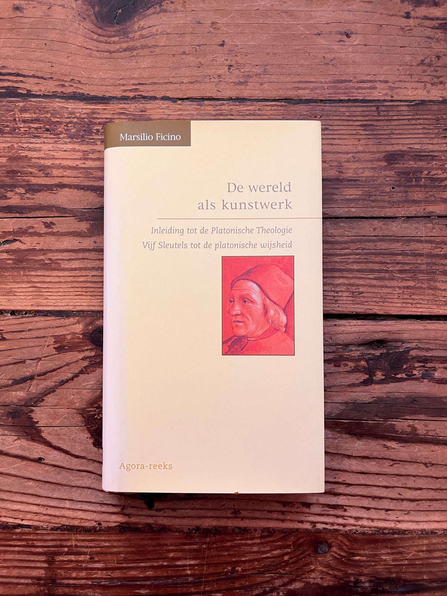 foto van de omslag van het boek "De wereld als kunstwerk" op houten achtergrond