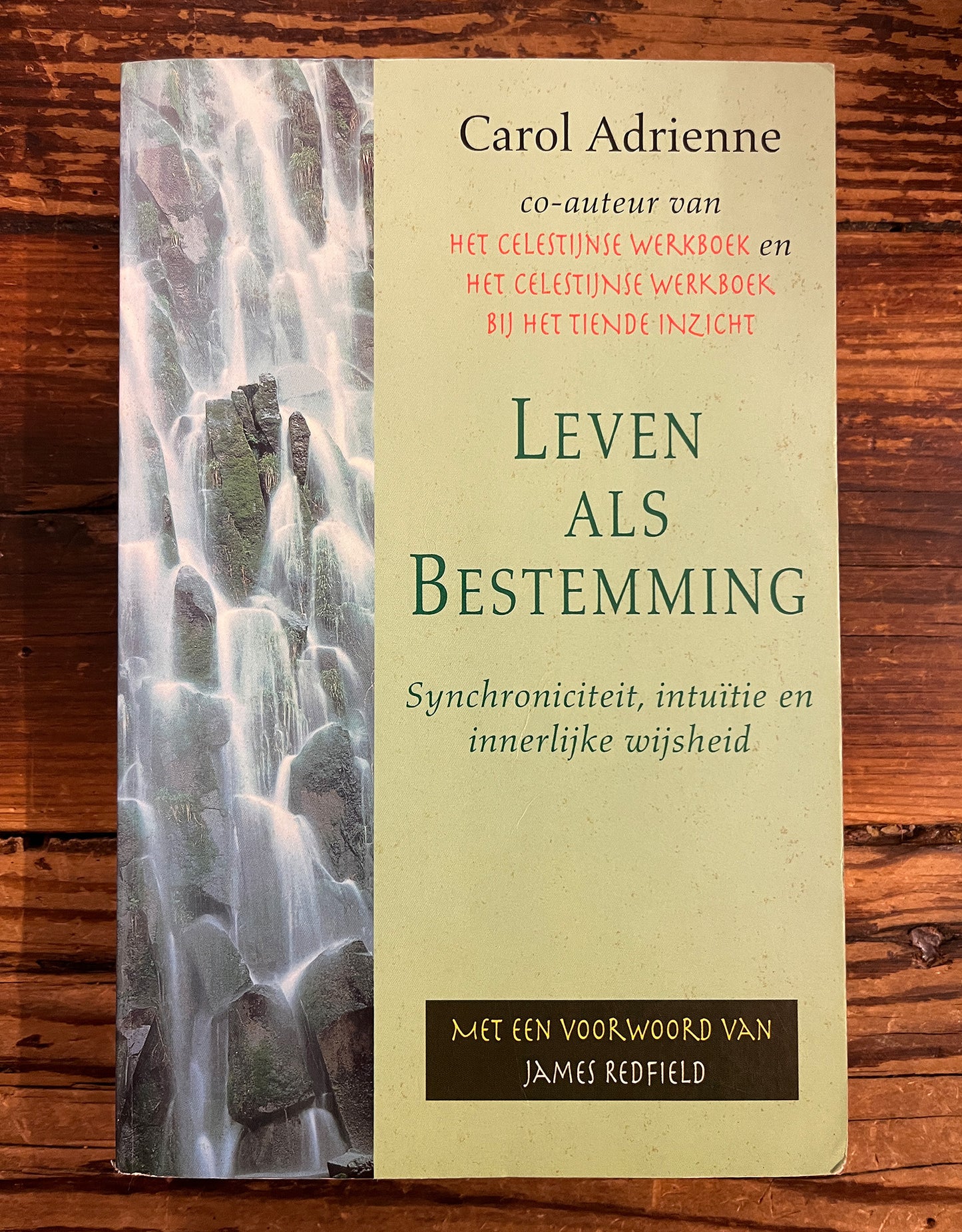Leven als bestemming, Carol Adrienne