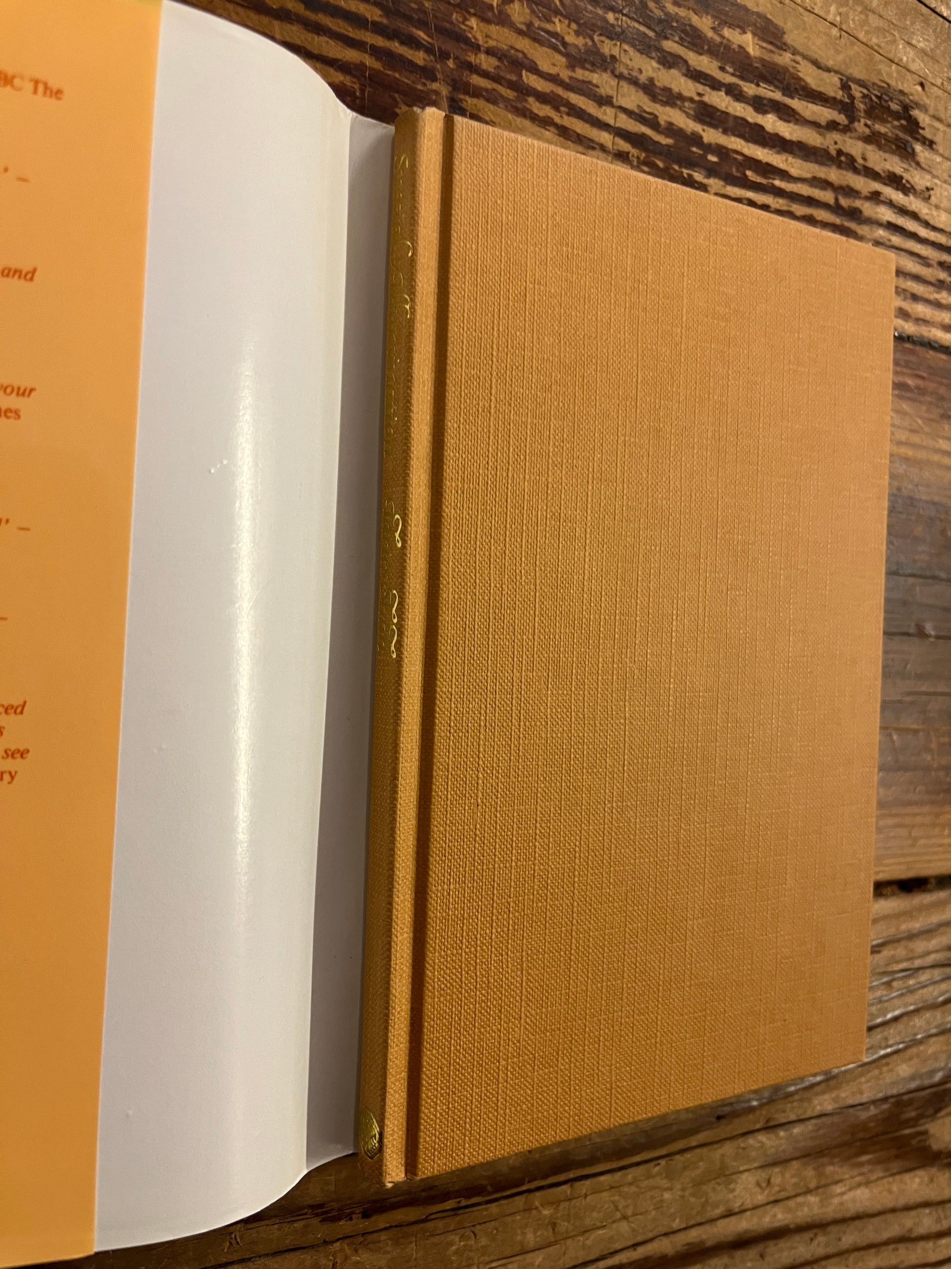 Brown cloth book titled 'Special Illumination' by Idries Shah on a wooden surface