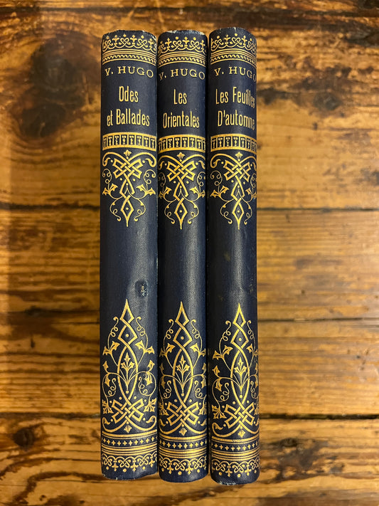 photo du dos des trois livres du set sur fond de bois